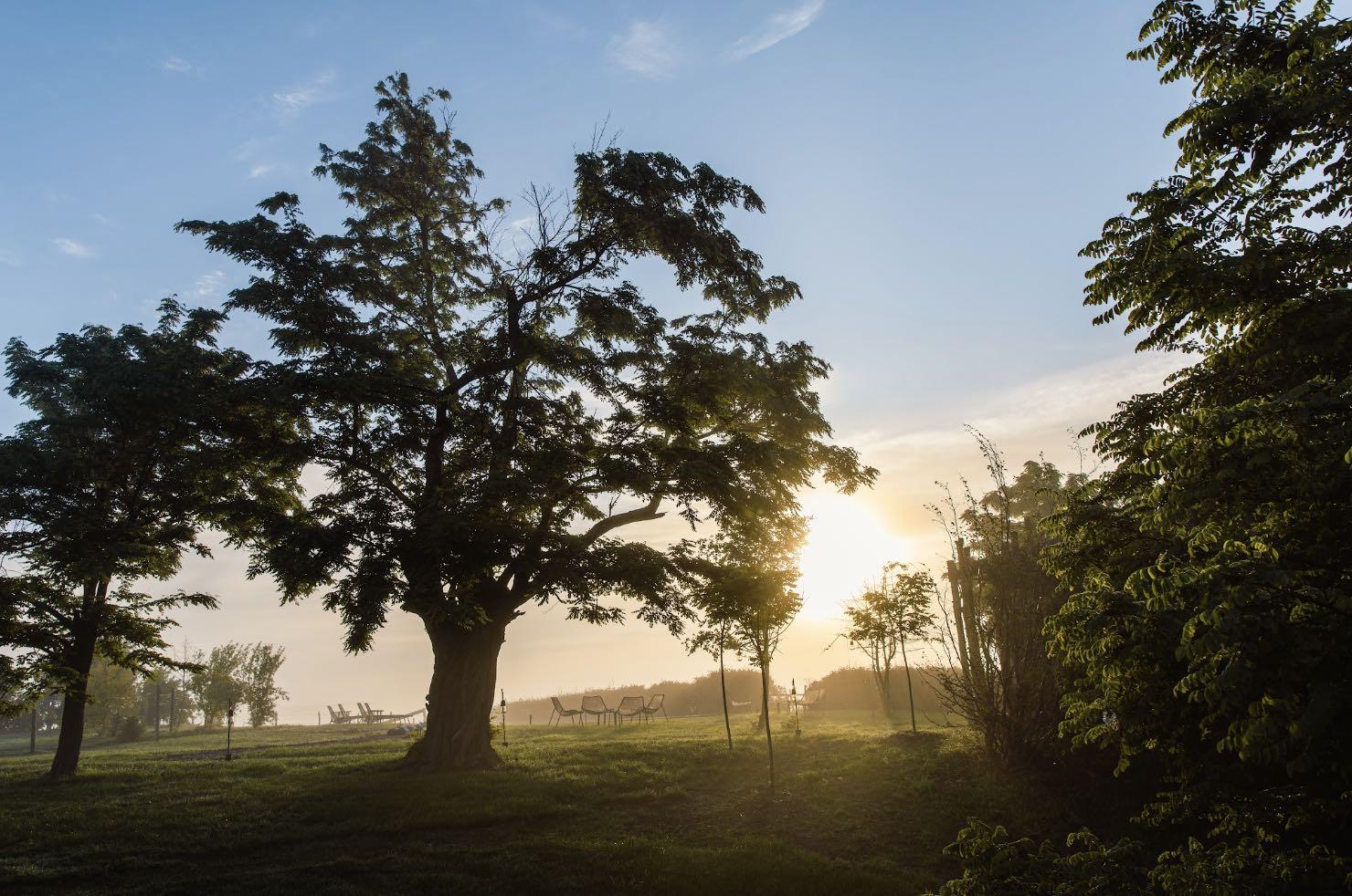 La Colline du Colombier, terrain de jeu du jeune Léo Troisgros © Léa Gil