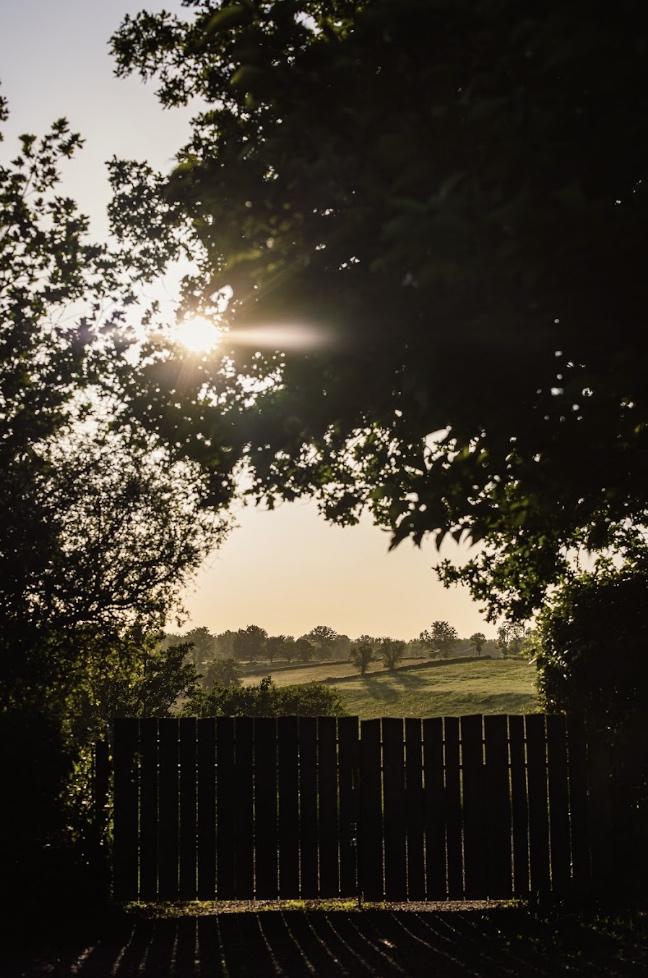 Le décor enchanteur de la campagne sauvage où se trouve La Colline du Colombier © Léa Gil