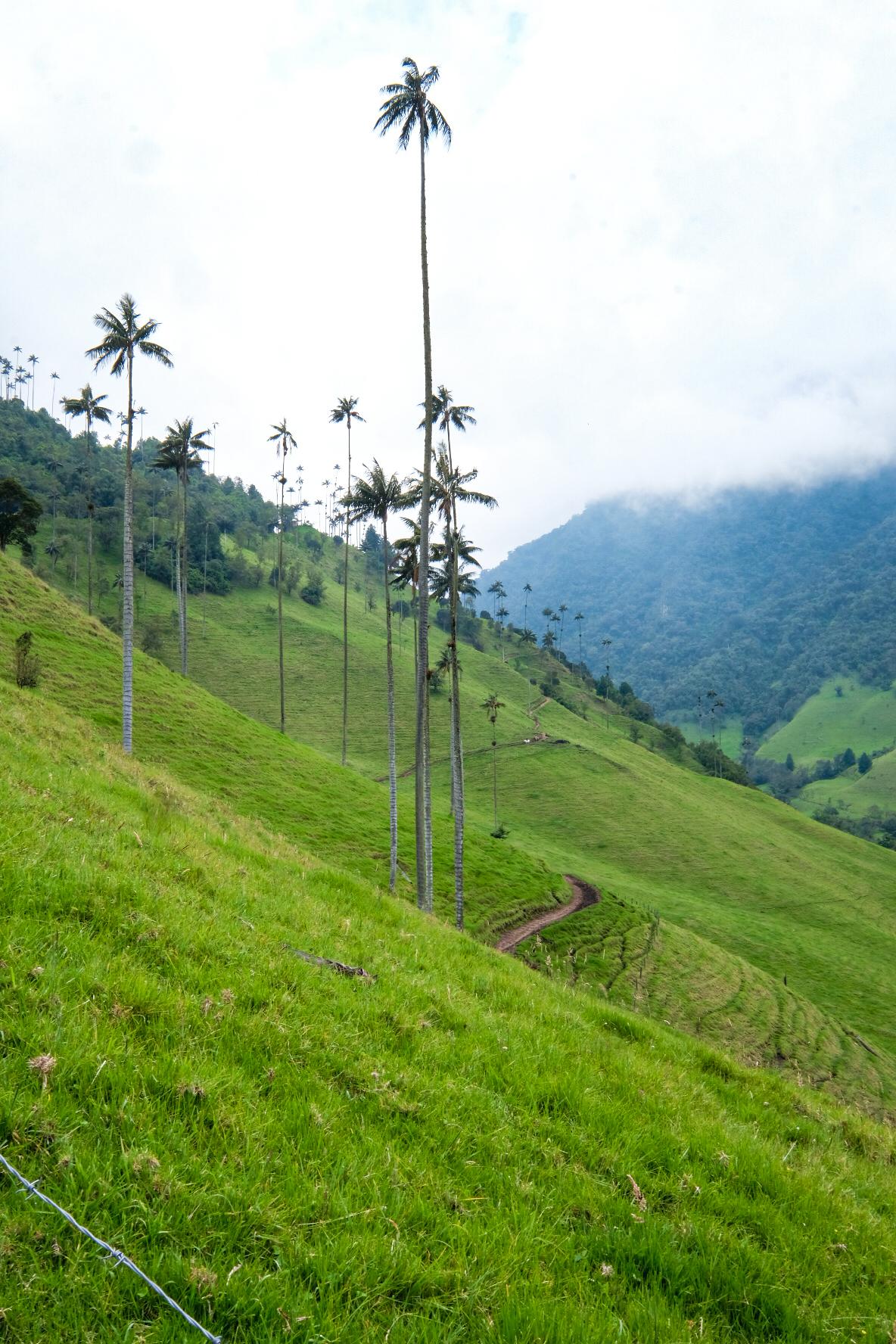 Vallée Cocora © Noé Gerard
