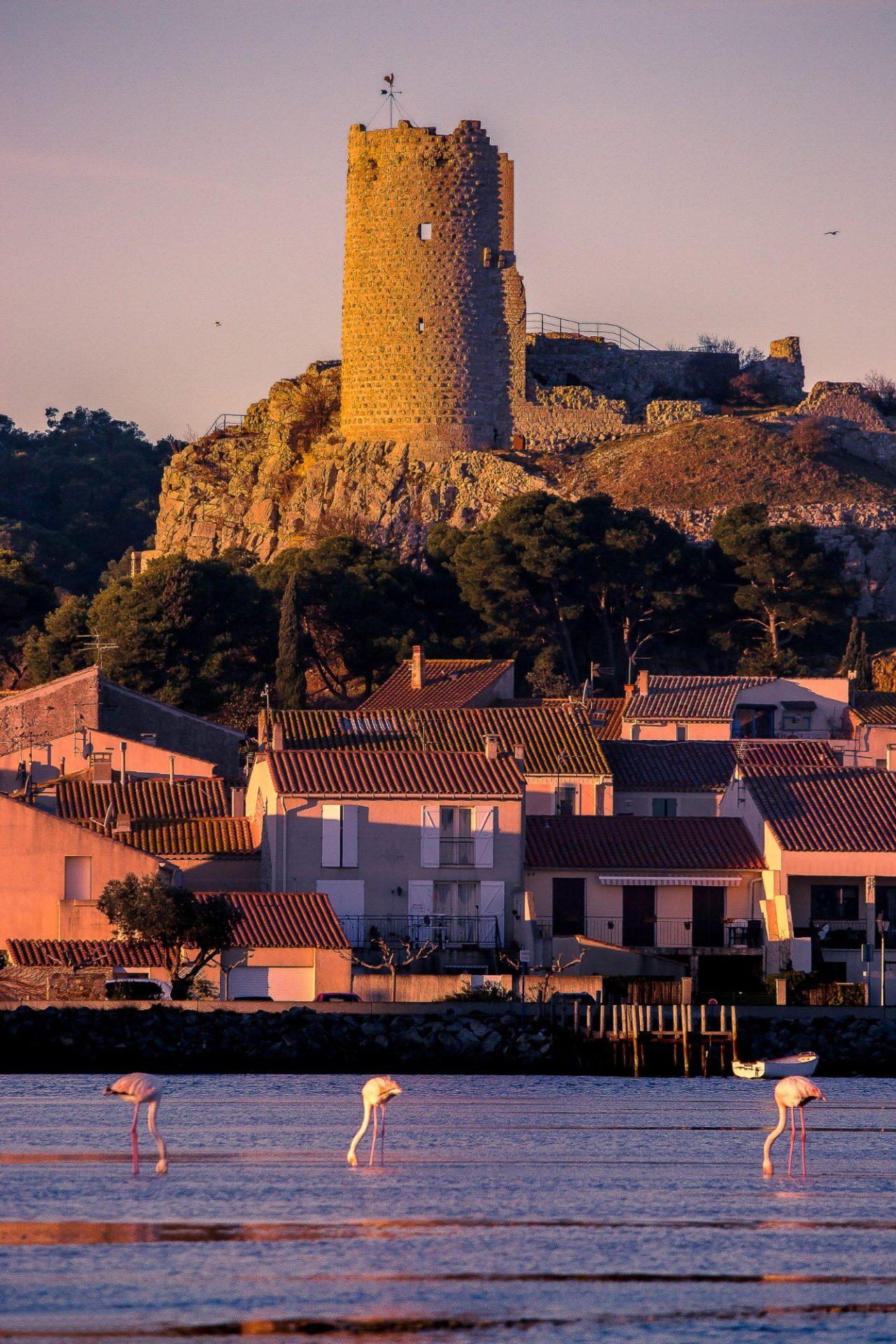 Village Gruissan office tourisme gruissan2