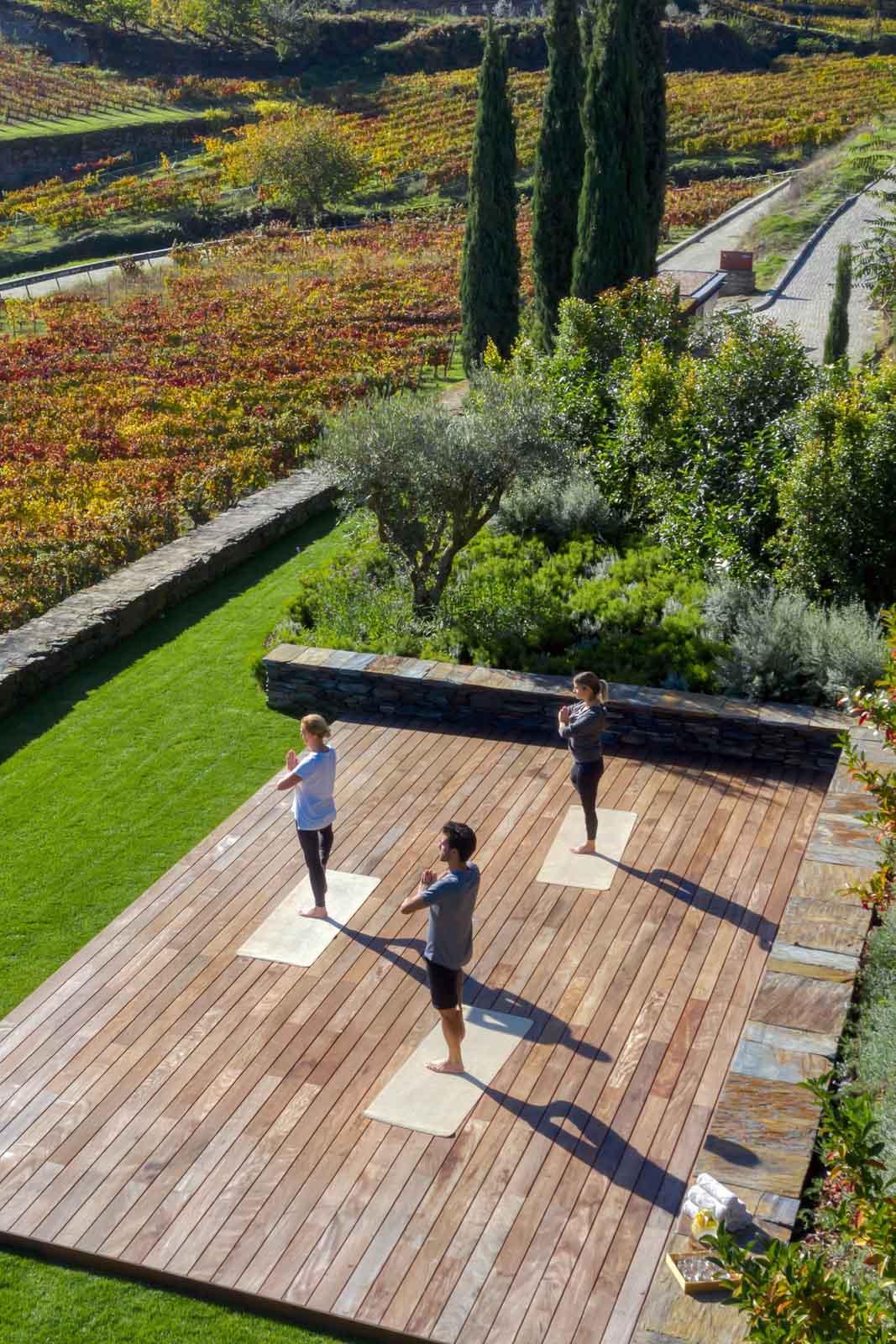 Yoga dans les vignes © John Athimaritis