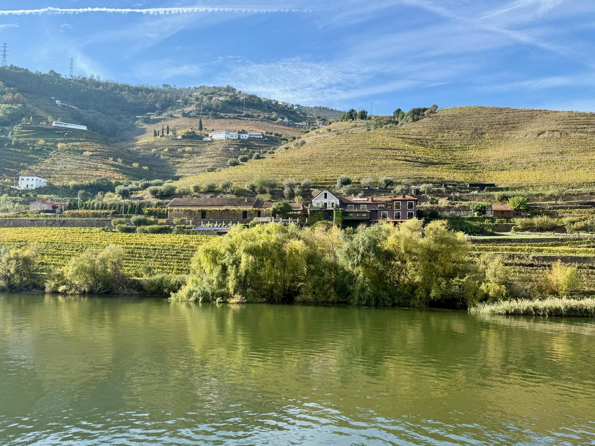 Les vignes sur les berges du Douro © Emmanuel Laveran