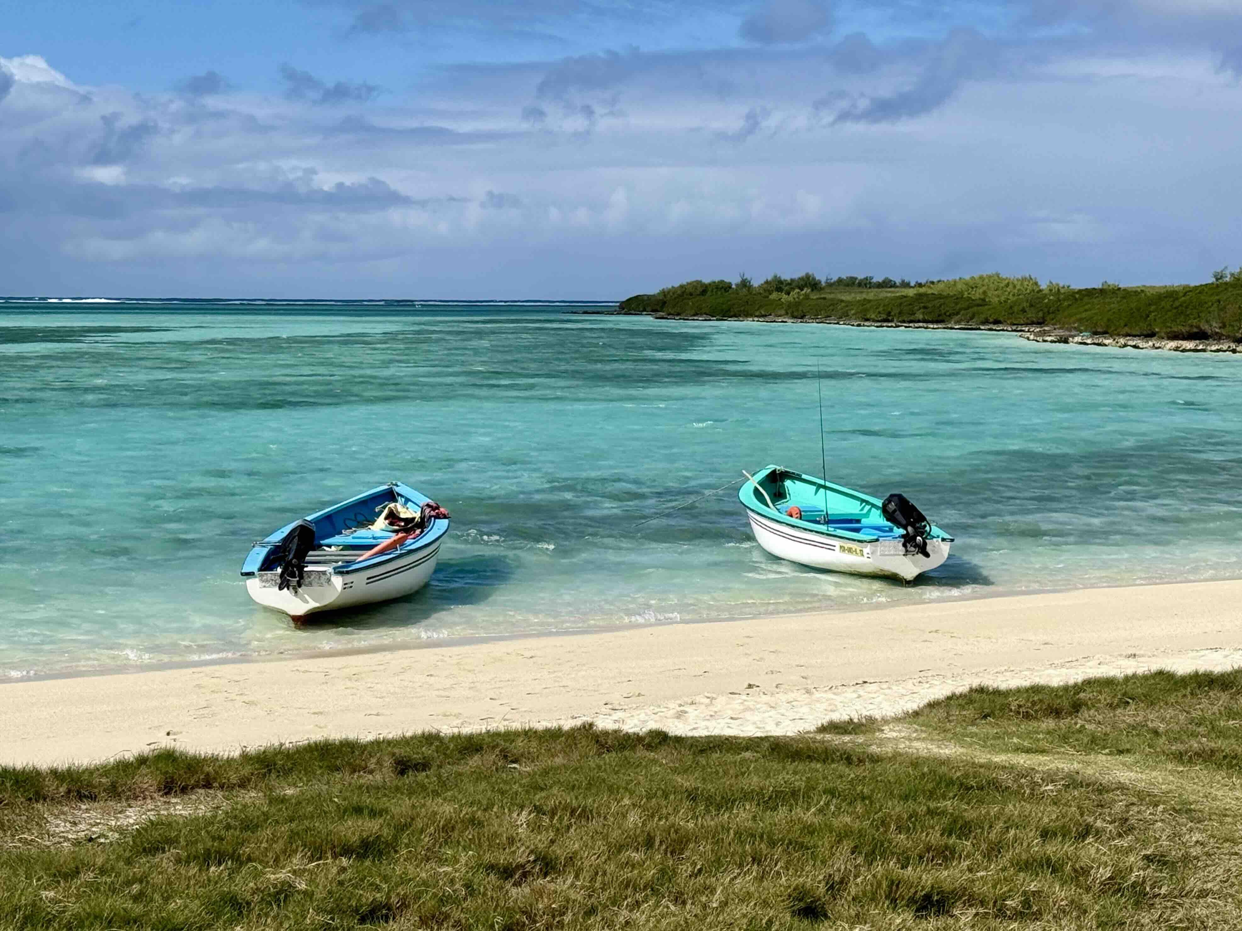 Vue depuis la table du déjeuner sur l’Ile aux Chats © DR