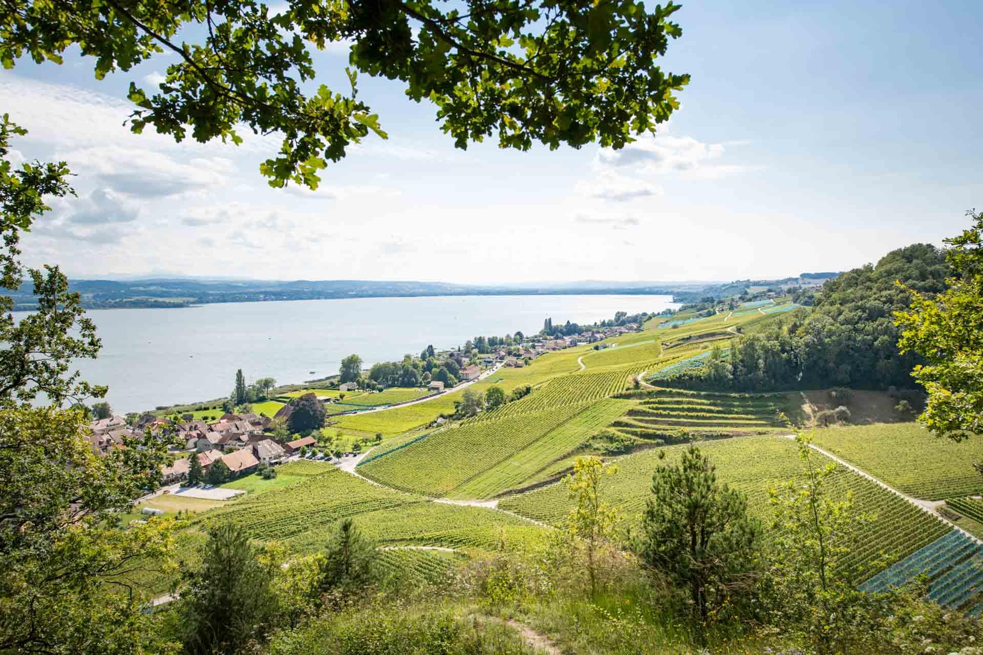 Le domaine du petit château © Rawking