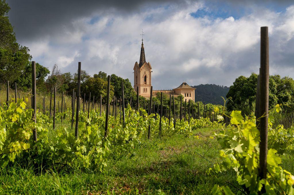 San Pere del Bosc, un hôtel 5 étoiles dans les vignes à Lloret de Mar © San Pere del Bosc 