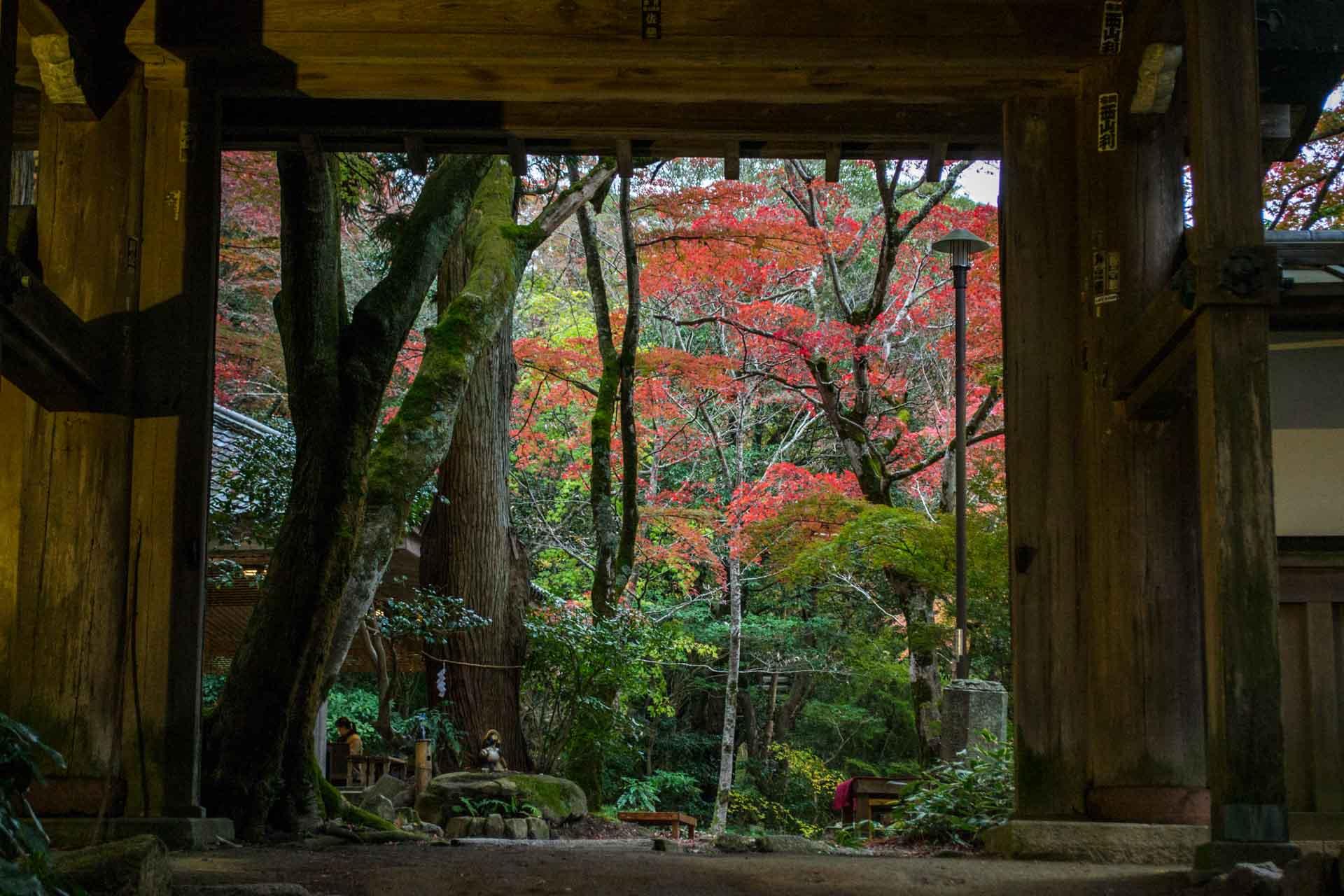 Le parc Zuihoji © DR