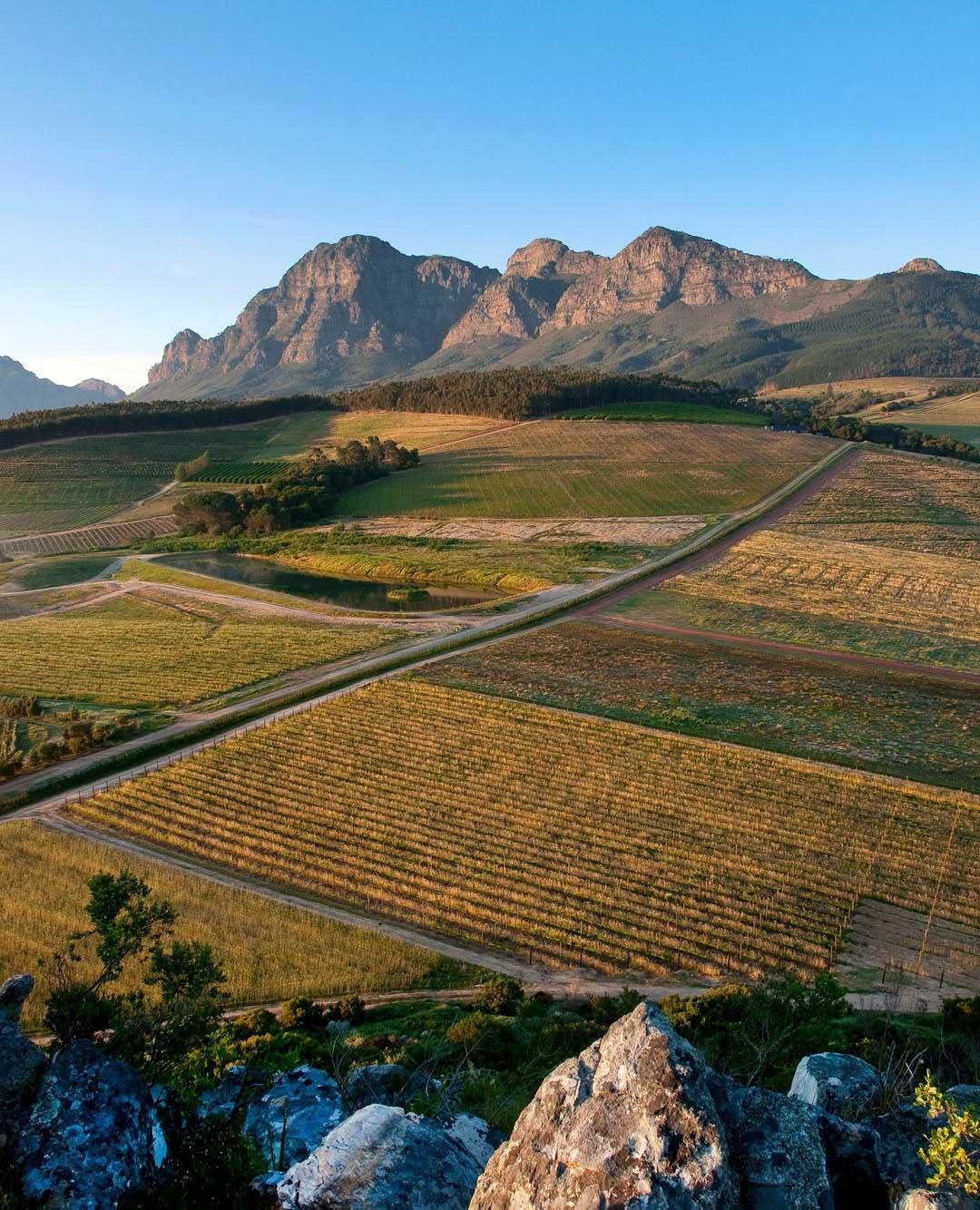 @babylonstoren sur ig