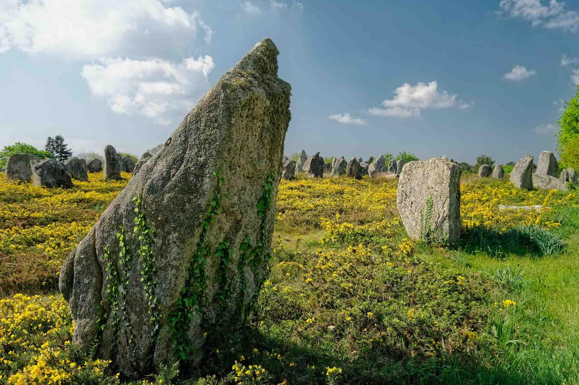 L’alignement de Carnac © Andread Brunn