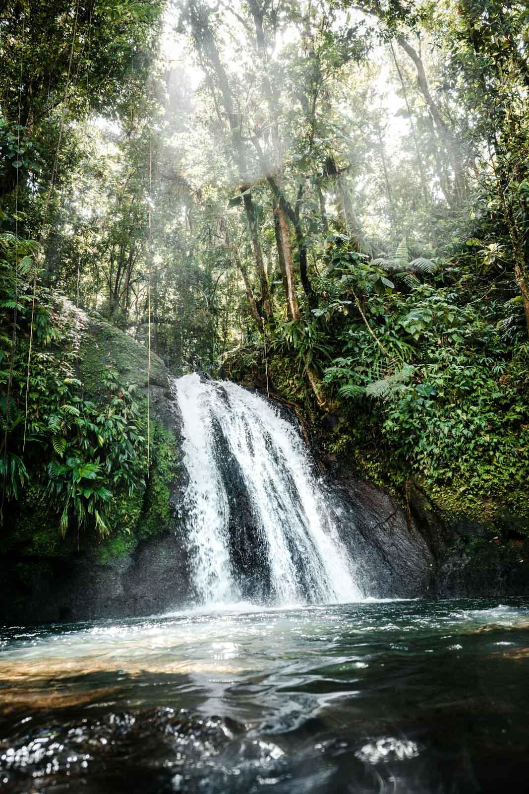 La Cascade des écrevisses à Basse Terre © Daniel Oberg