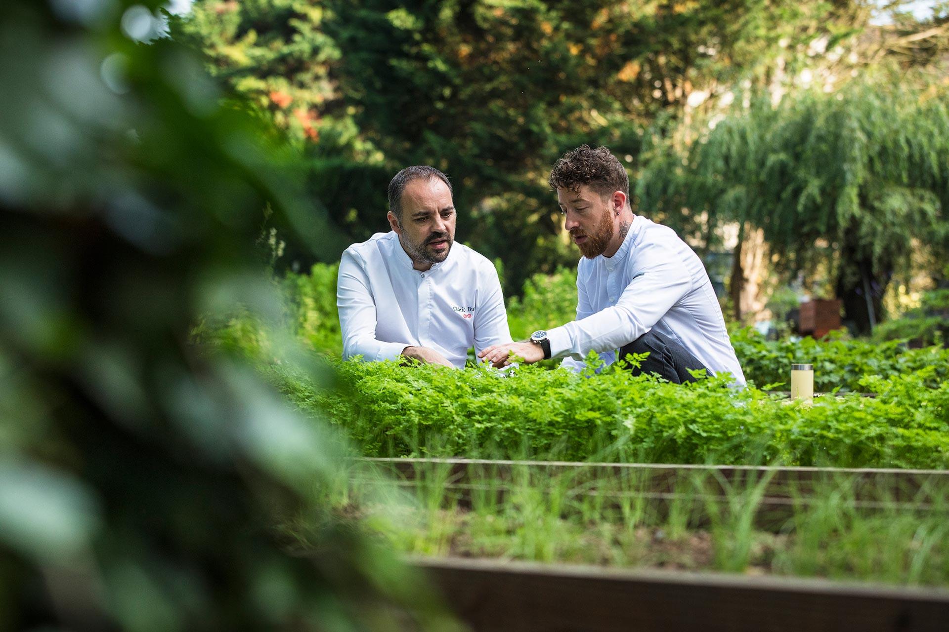 Le jardin extérieur du chef Cédric Burtin
