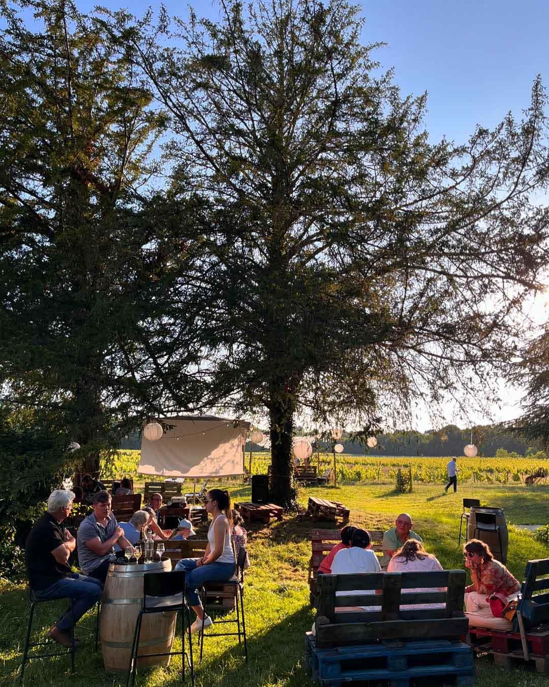 Sur notre itinéraire de la route des vins de Bordeaux © Château Lusseau