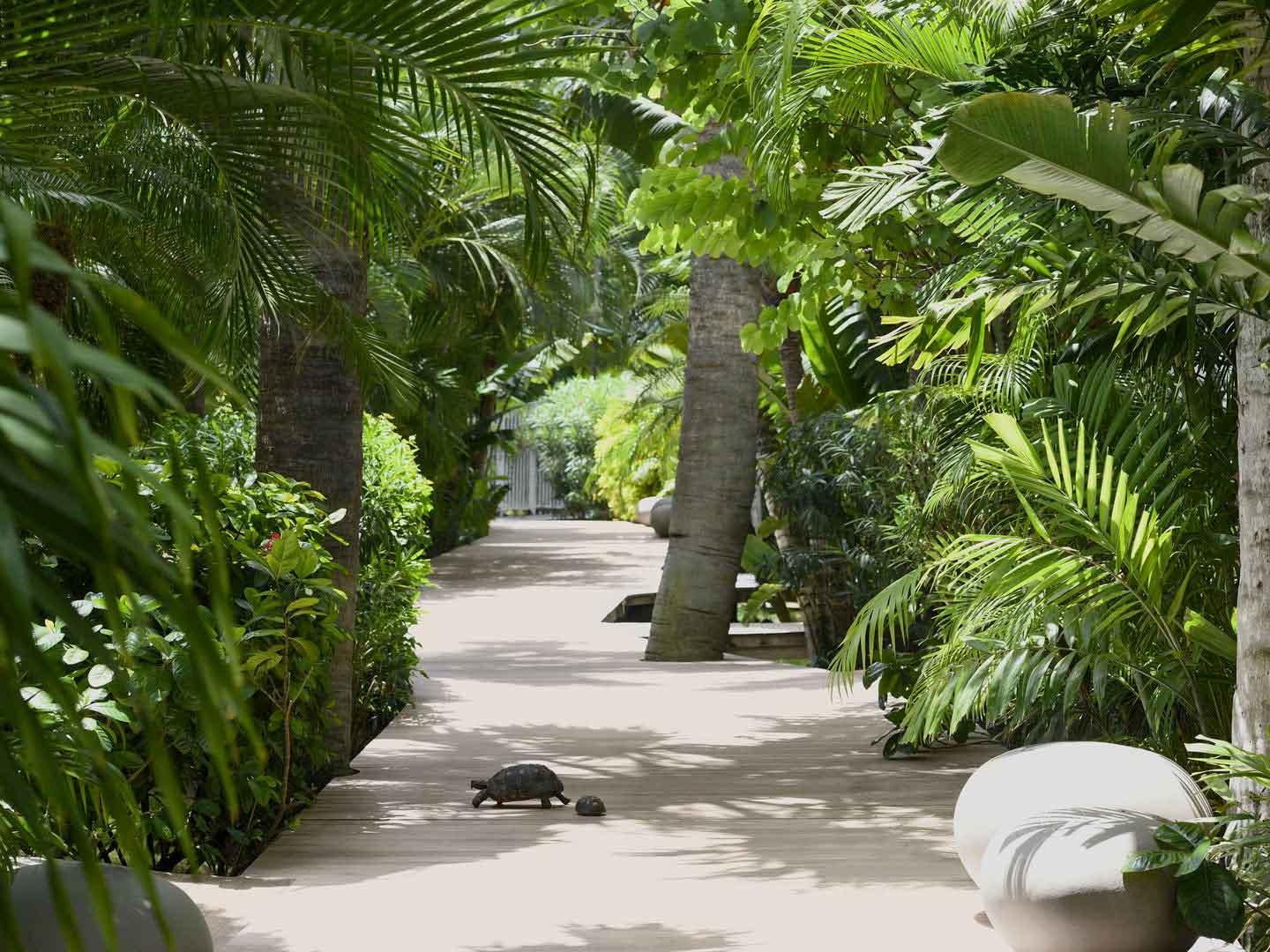 Hôtel de luxe des Caraïbes © Cheval Blanc Saint Barth