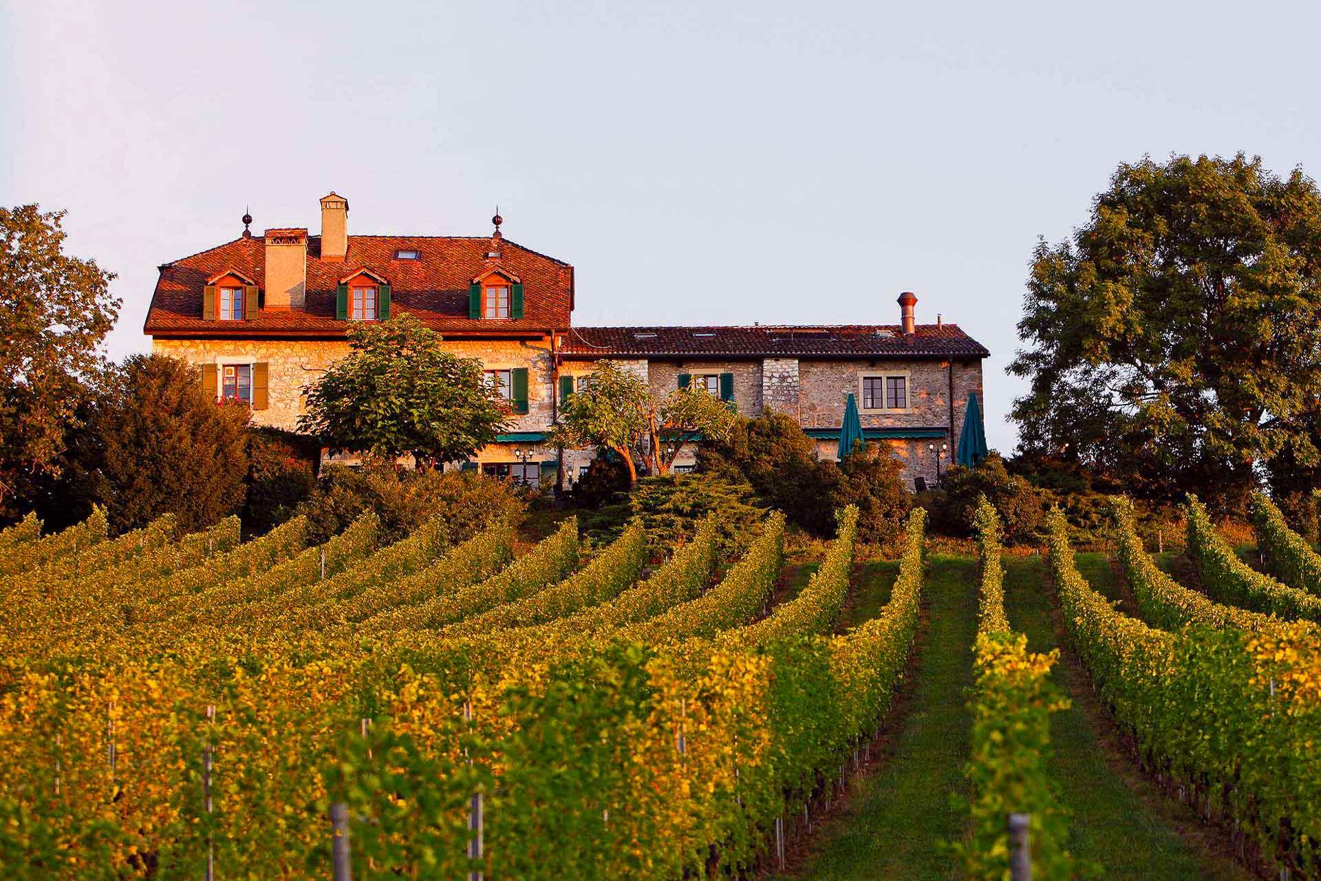 Domaine de Châteauvieux © DR