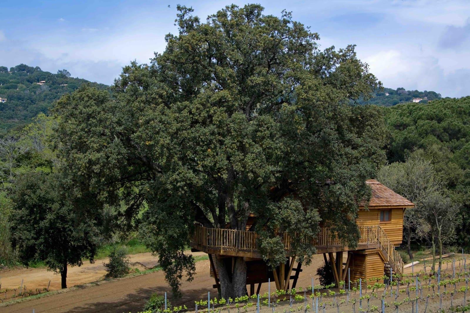 La cabane dans les bois de l’hôtel 5 étoiles © Château de Valmer