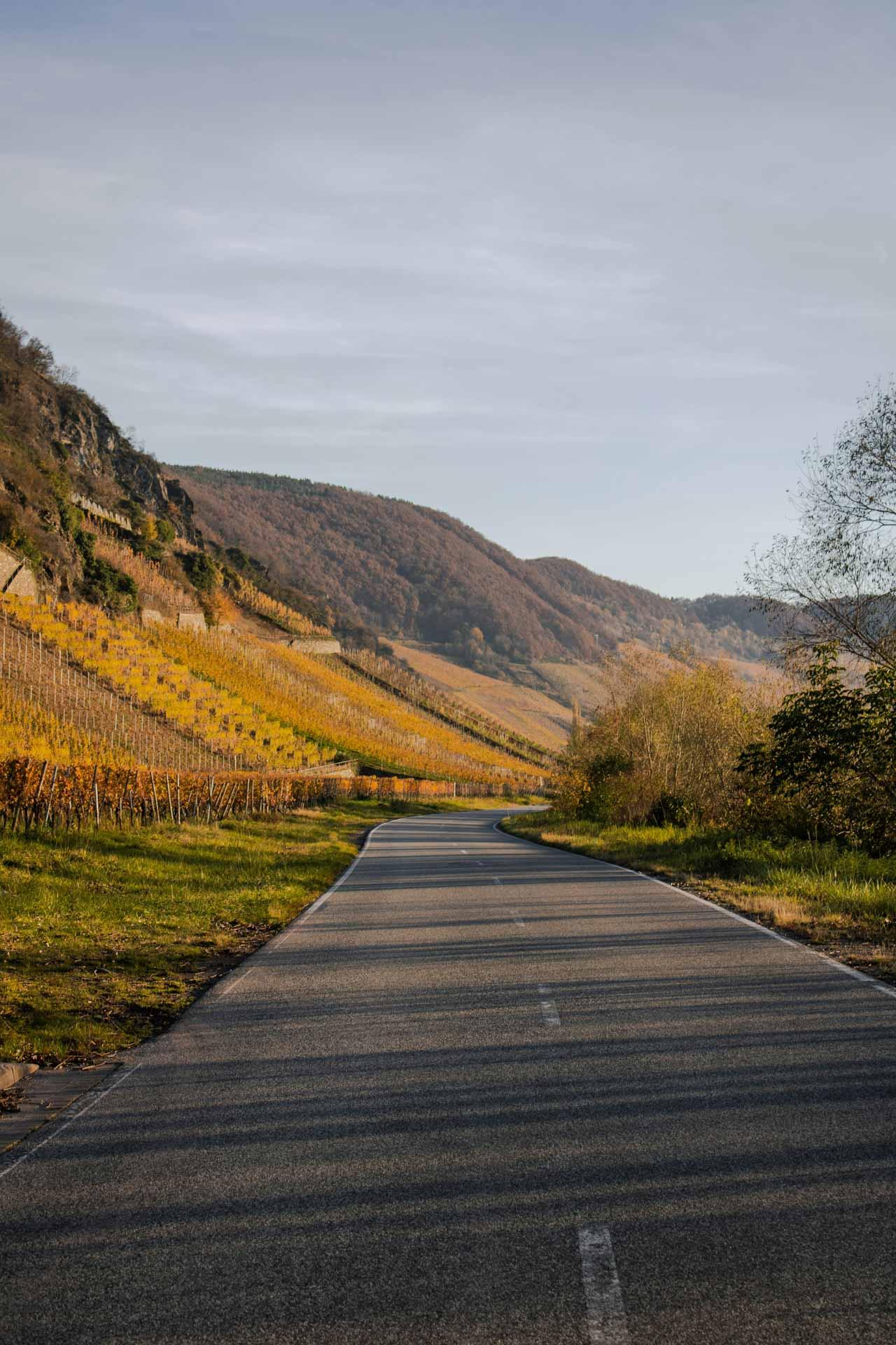 Road trip en van sur la Route des Vins d’Alsace © Febe Vanermen