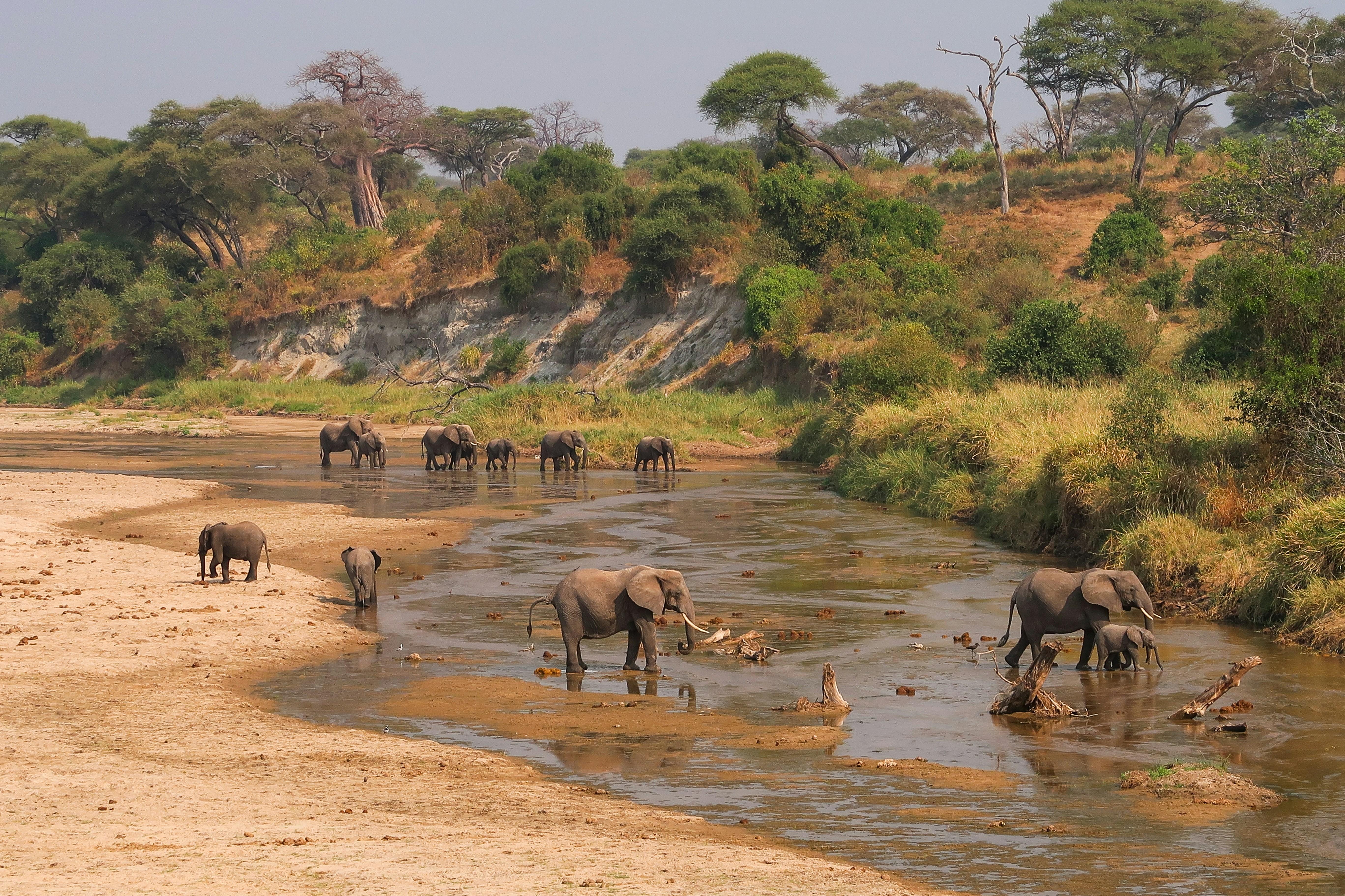 Lac Manyara © Florian Muller