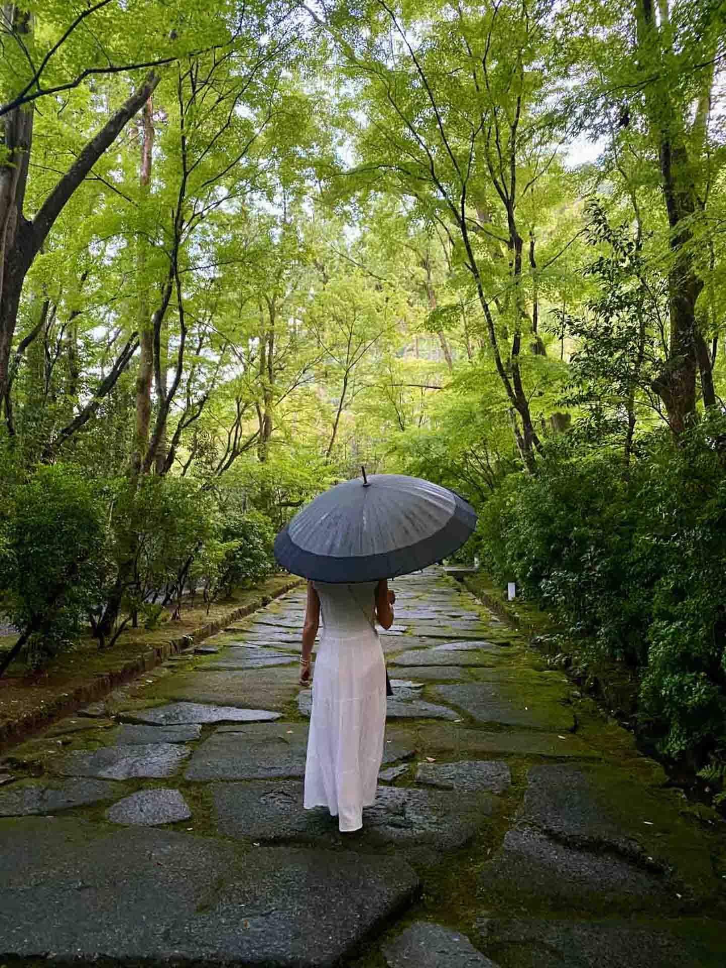 Forêt Aman Kyoto © YONDER.fr Emmanuel Laveran