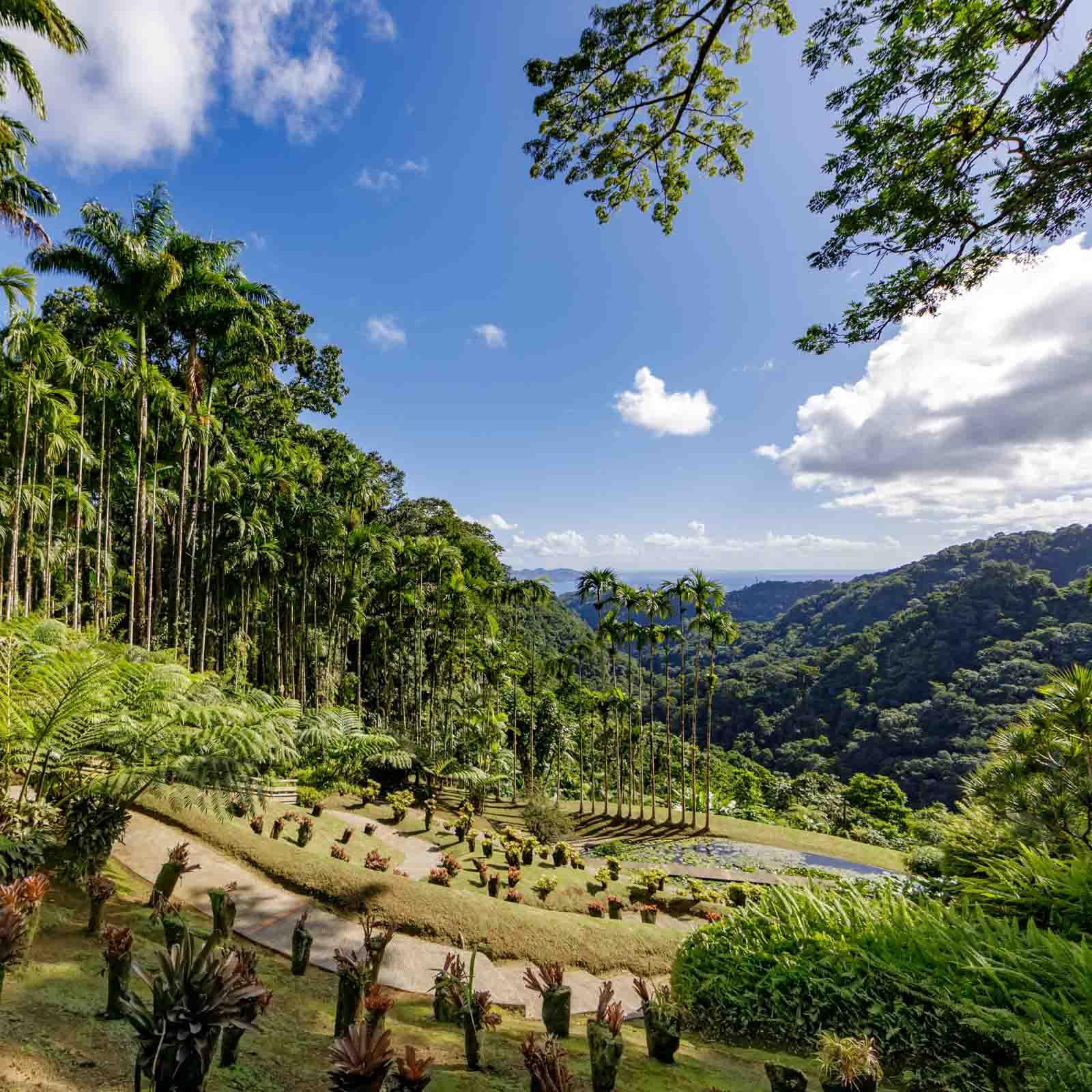 Jardin de Balata © AdobeStock Chromoprisme