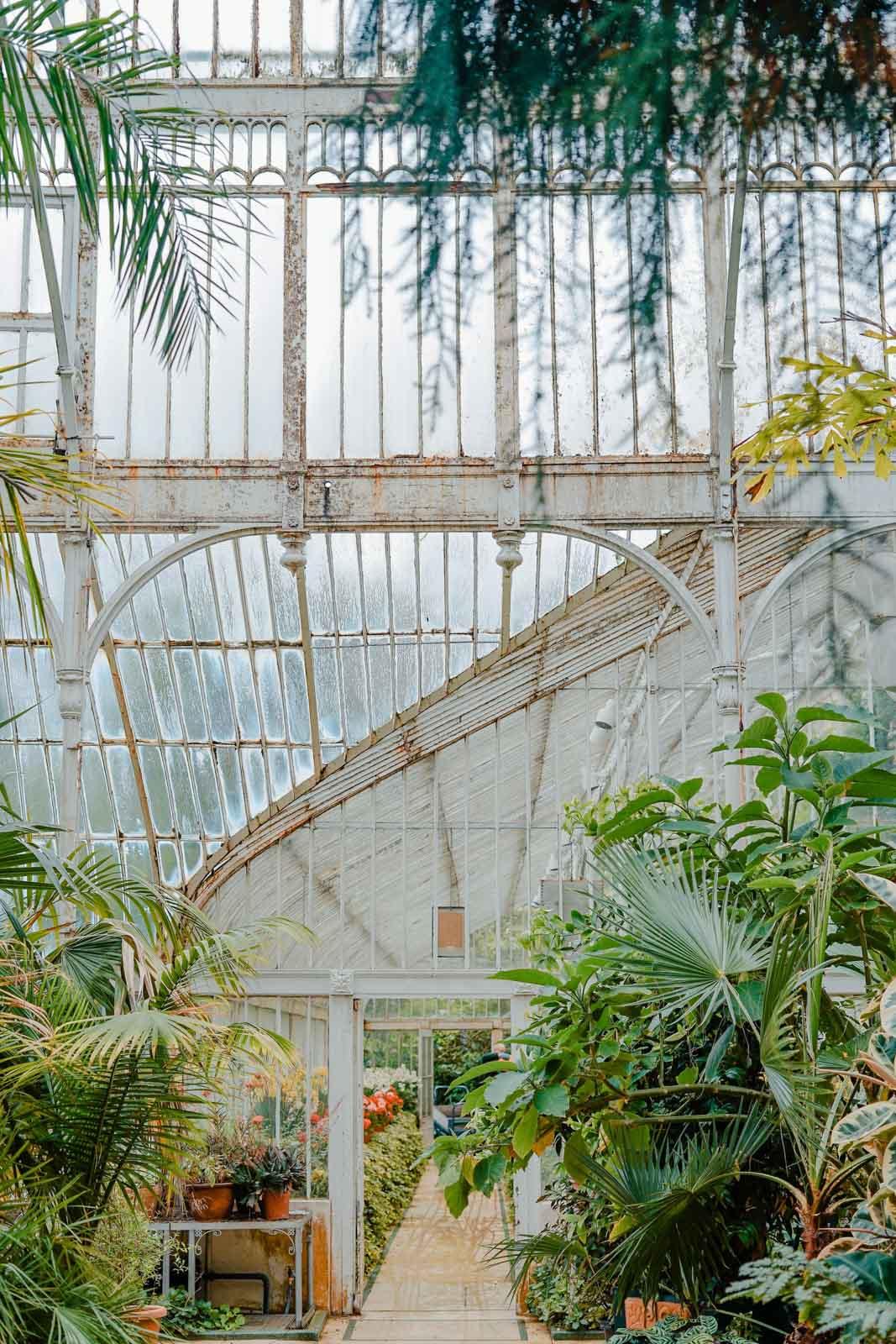 © Toa Heftiba - Jardin botanique