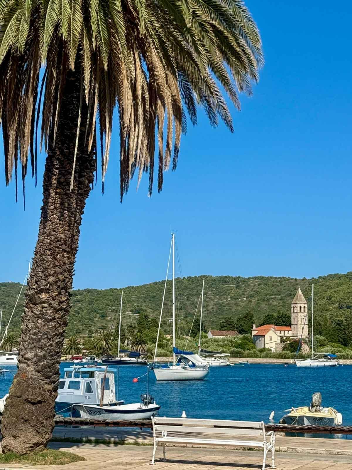 La beauté sauvage de l’île de Vis © Emmanuel Laveran