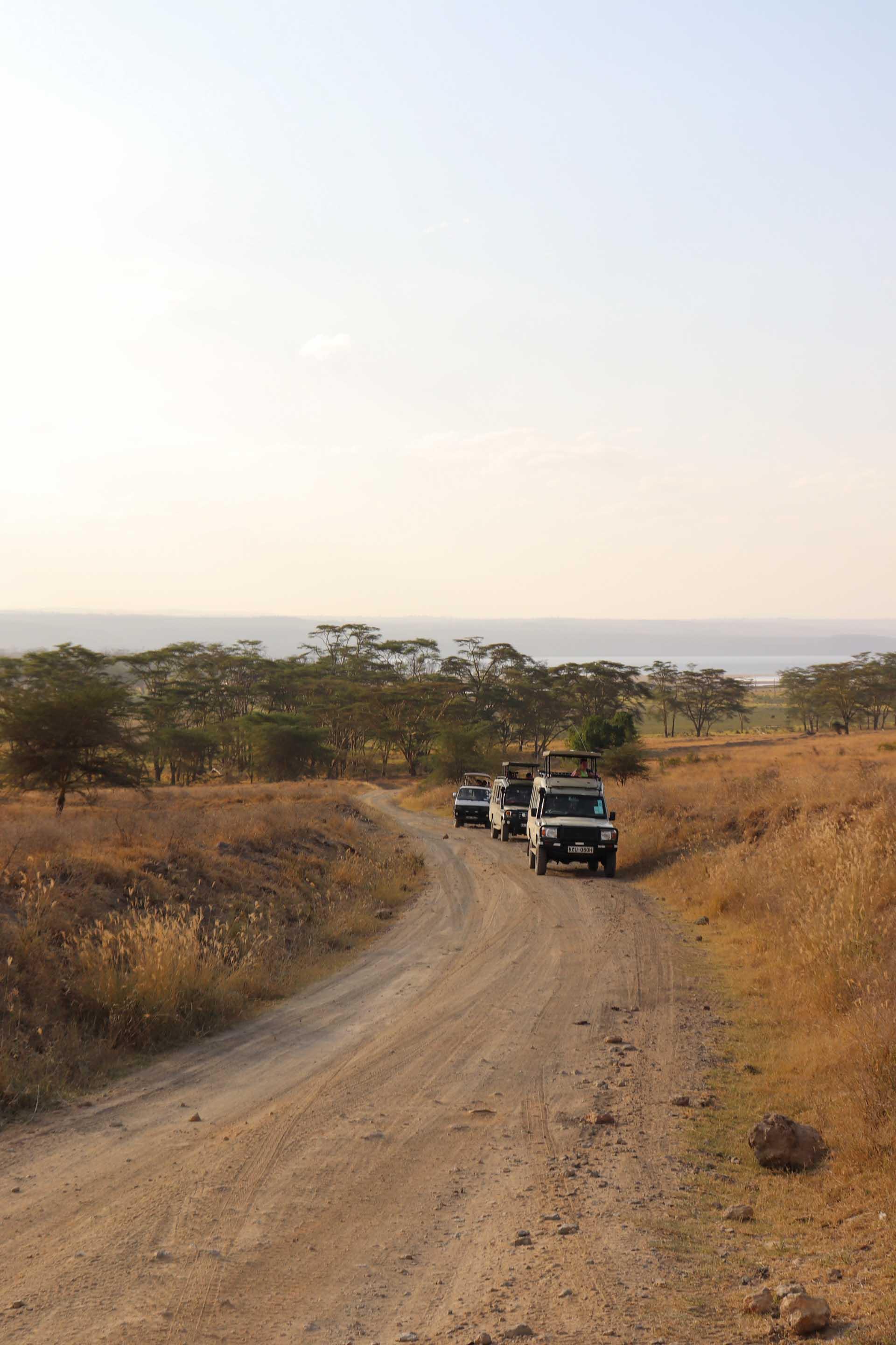 Au Lake Nakuru National Park © Pierre Gunther