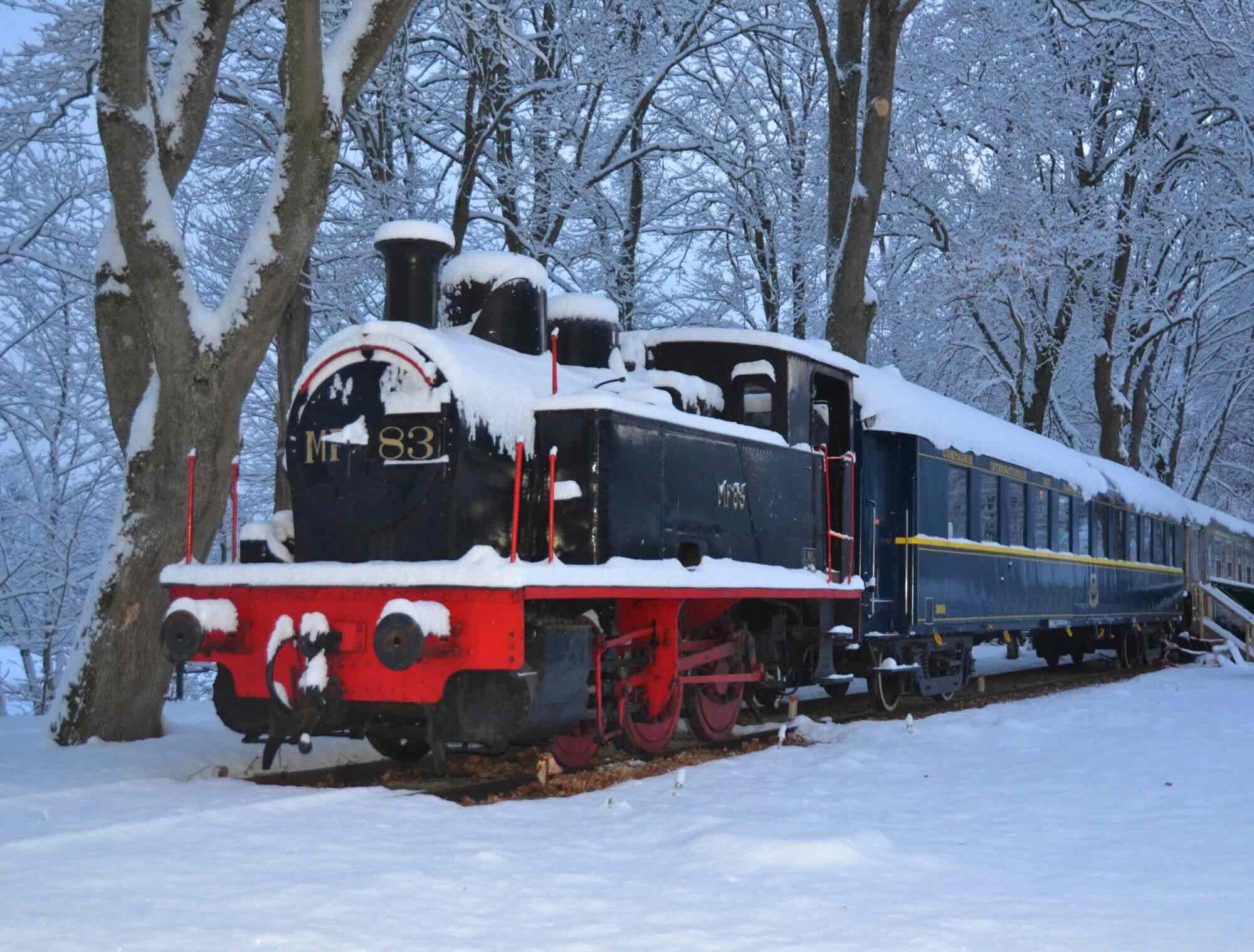 Locomotive du Train des Rêves © DR