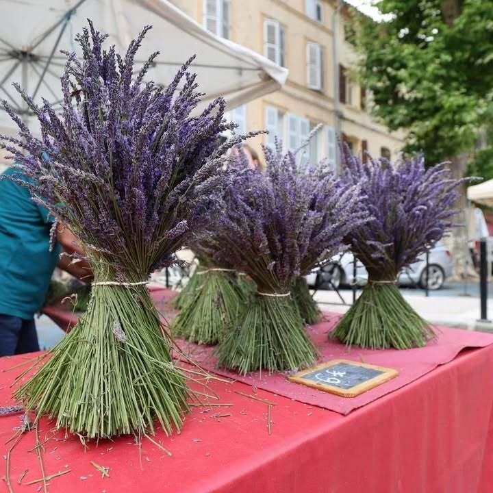 Immanquable lors d’un road trip en Provence, le marché de Lorgues © @lorgues.fr sur IG