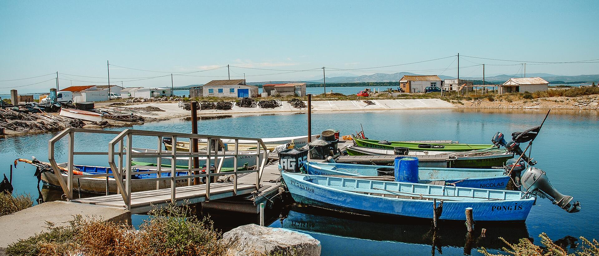 L’étang de l’Ayrolle © office tourisme gruissan