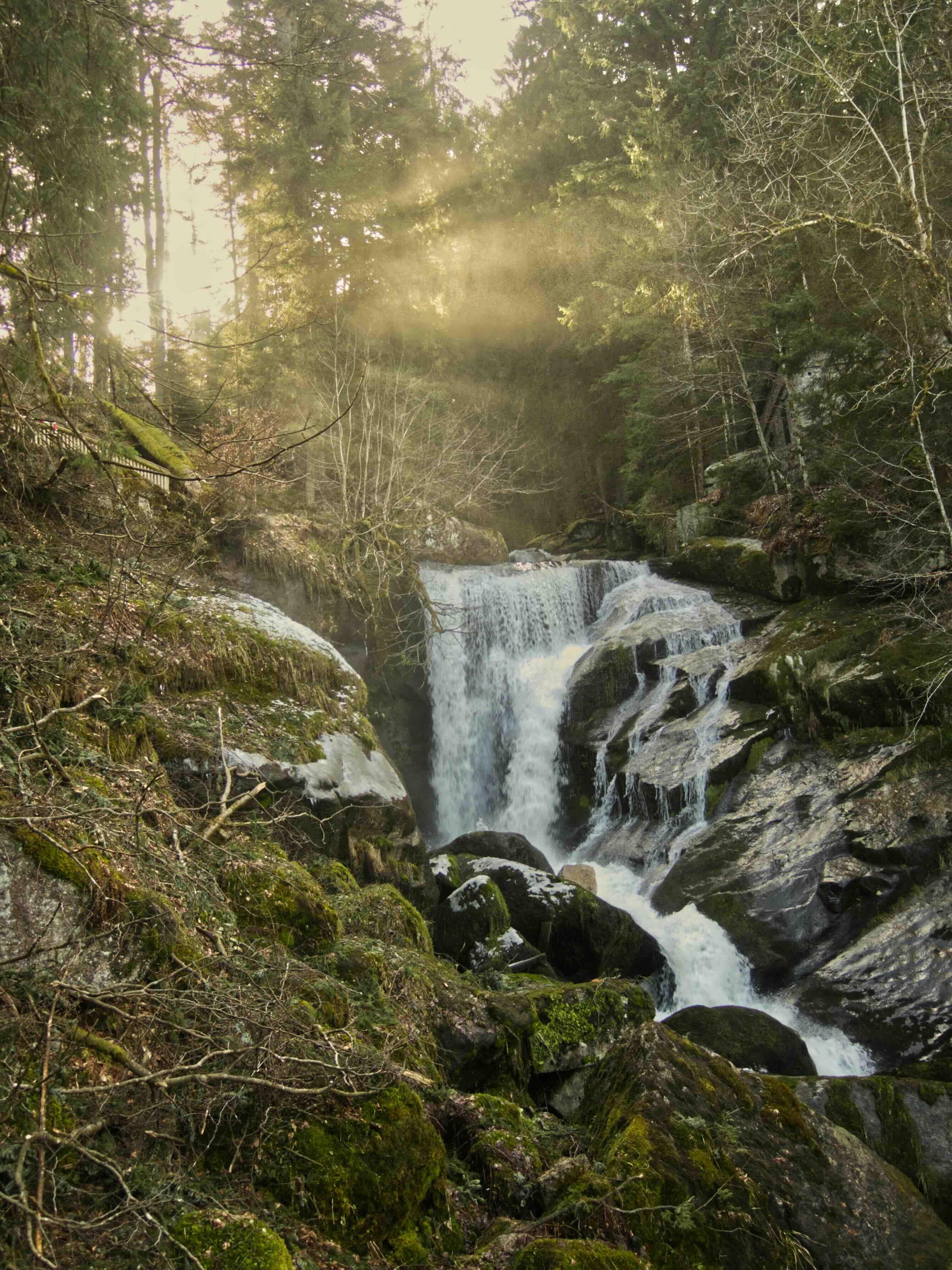 Les Cascades de Triberg © Oma Ute