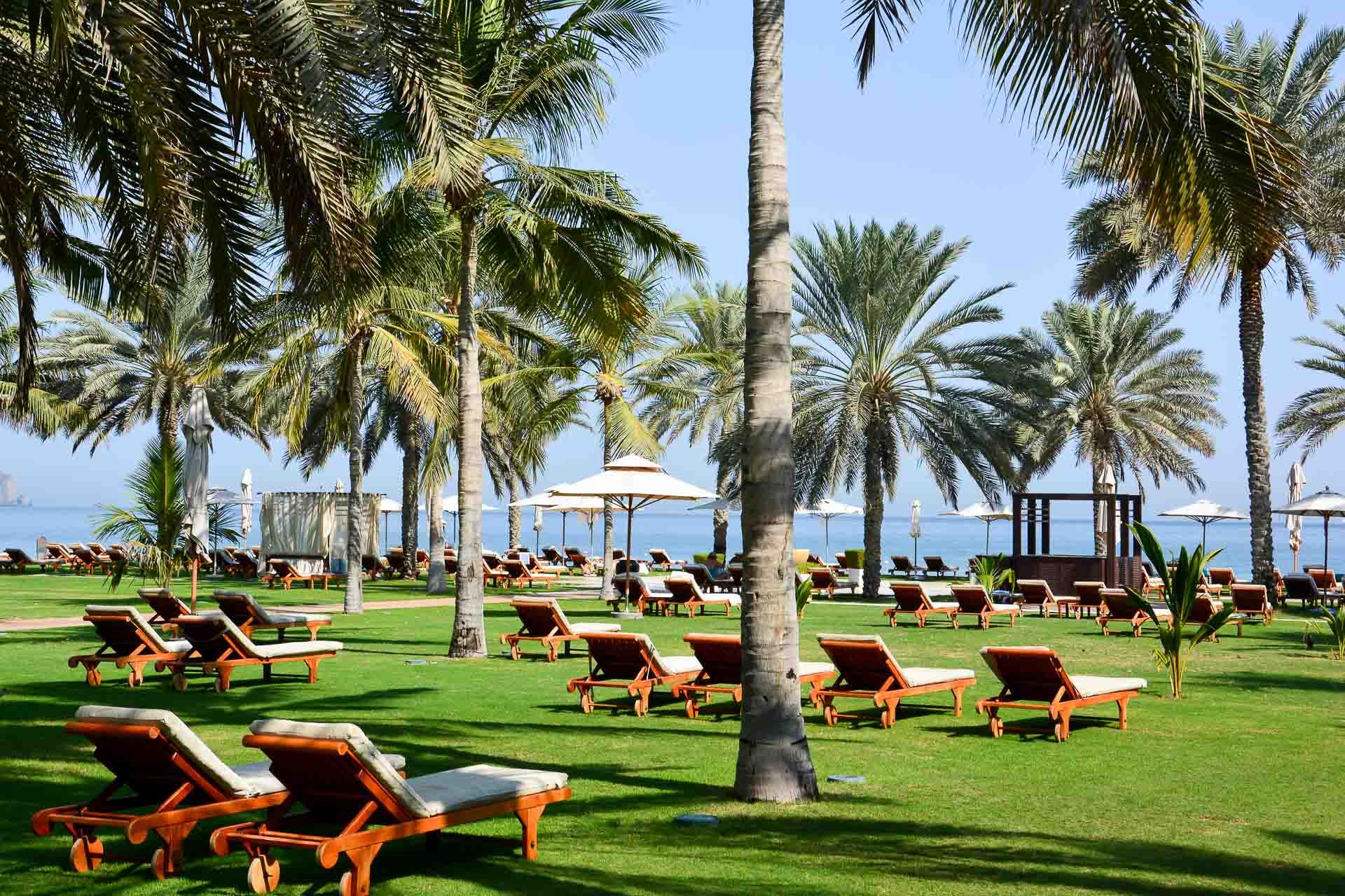 La palmeraie et les jardins du Ritz Al Bustan Palace, en bord de mer. © Emmanuel Laveran. 