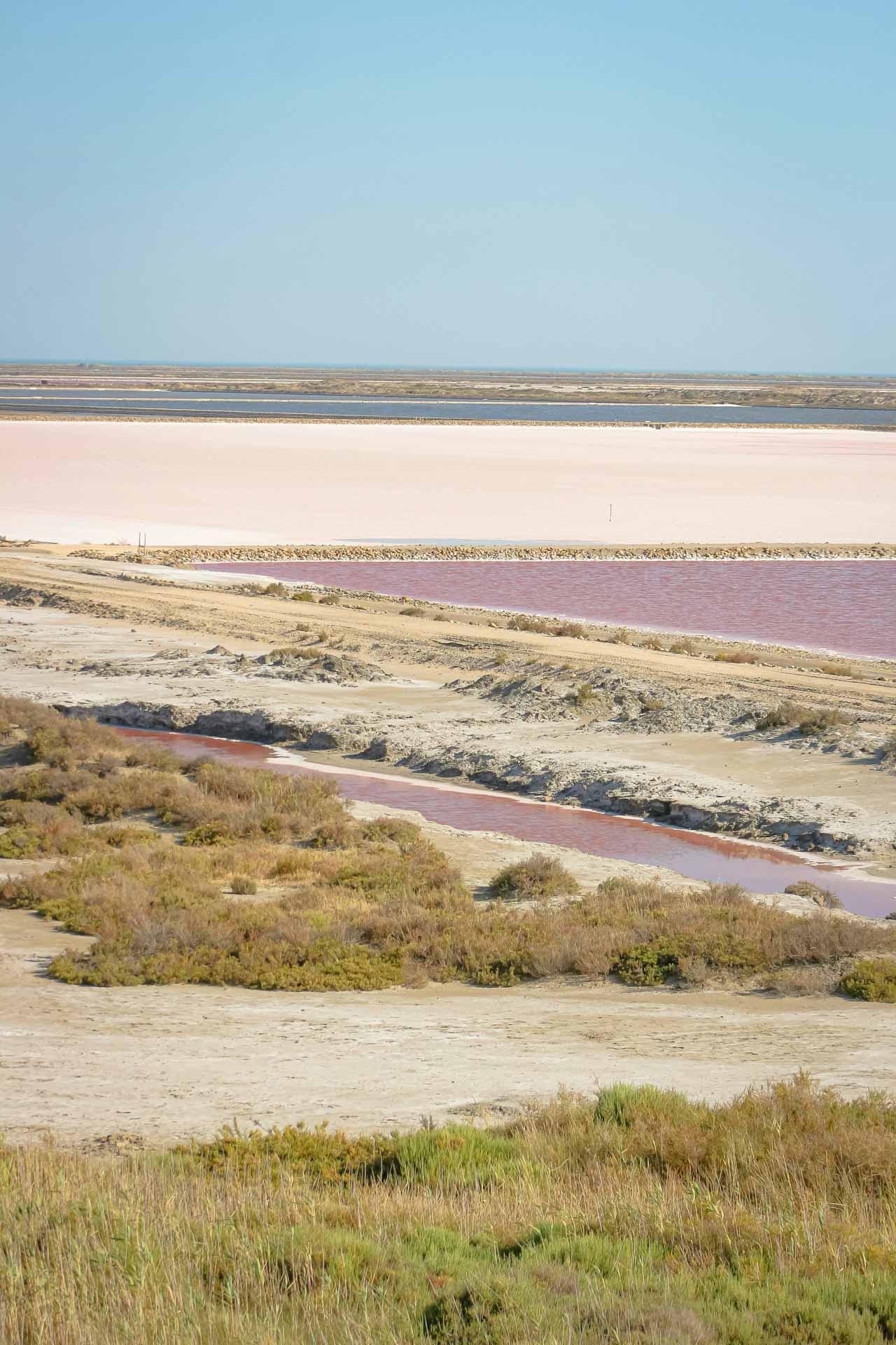 © Camargue