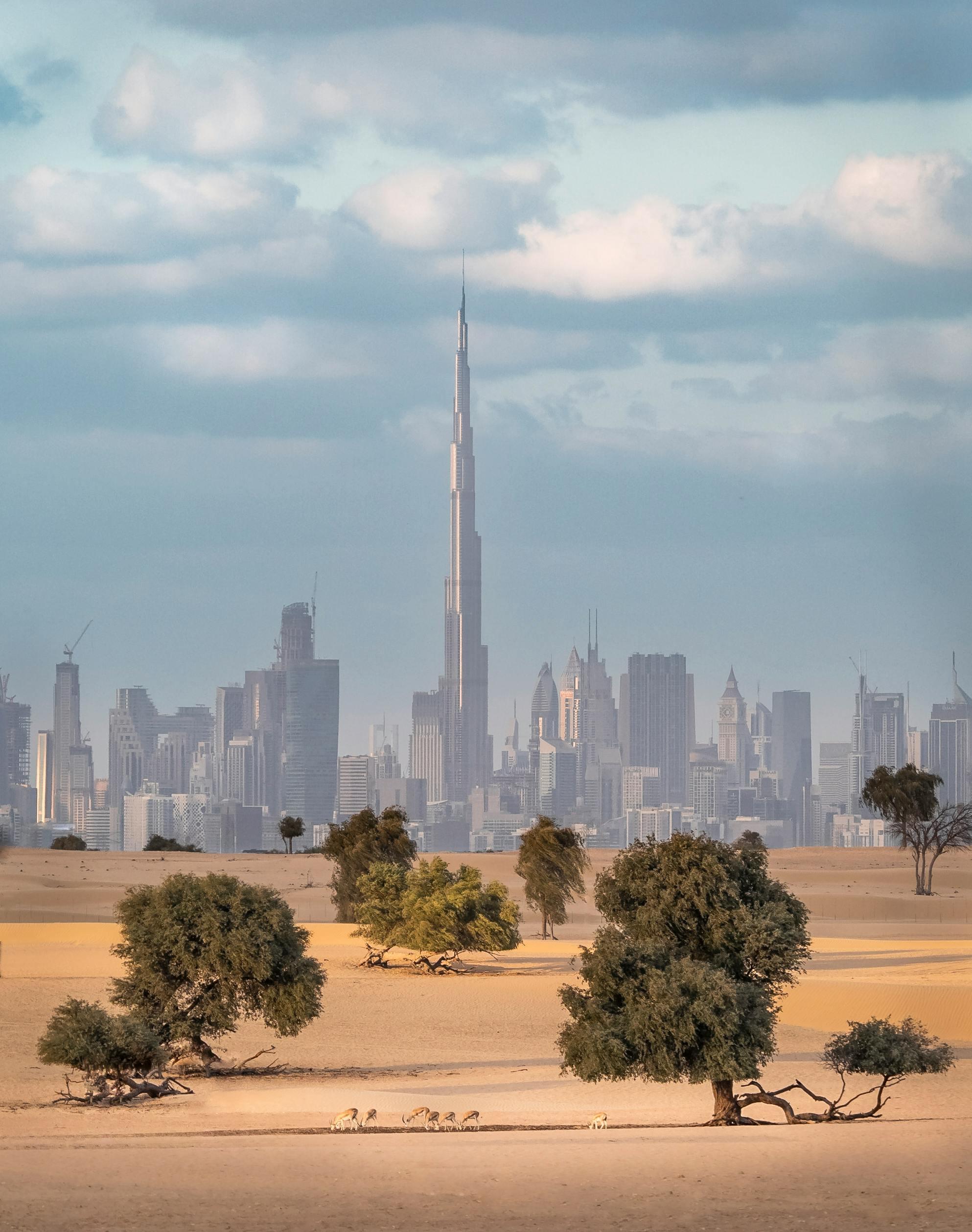 Le desert à Dubaï © Florian Kriechbaumer
