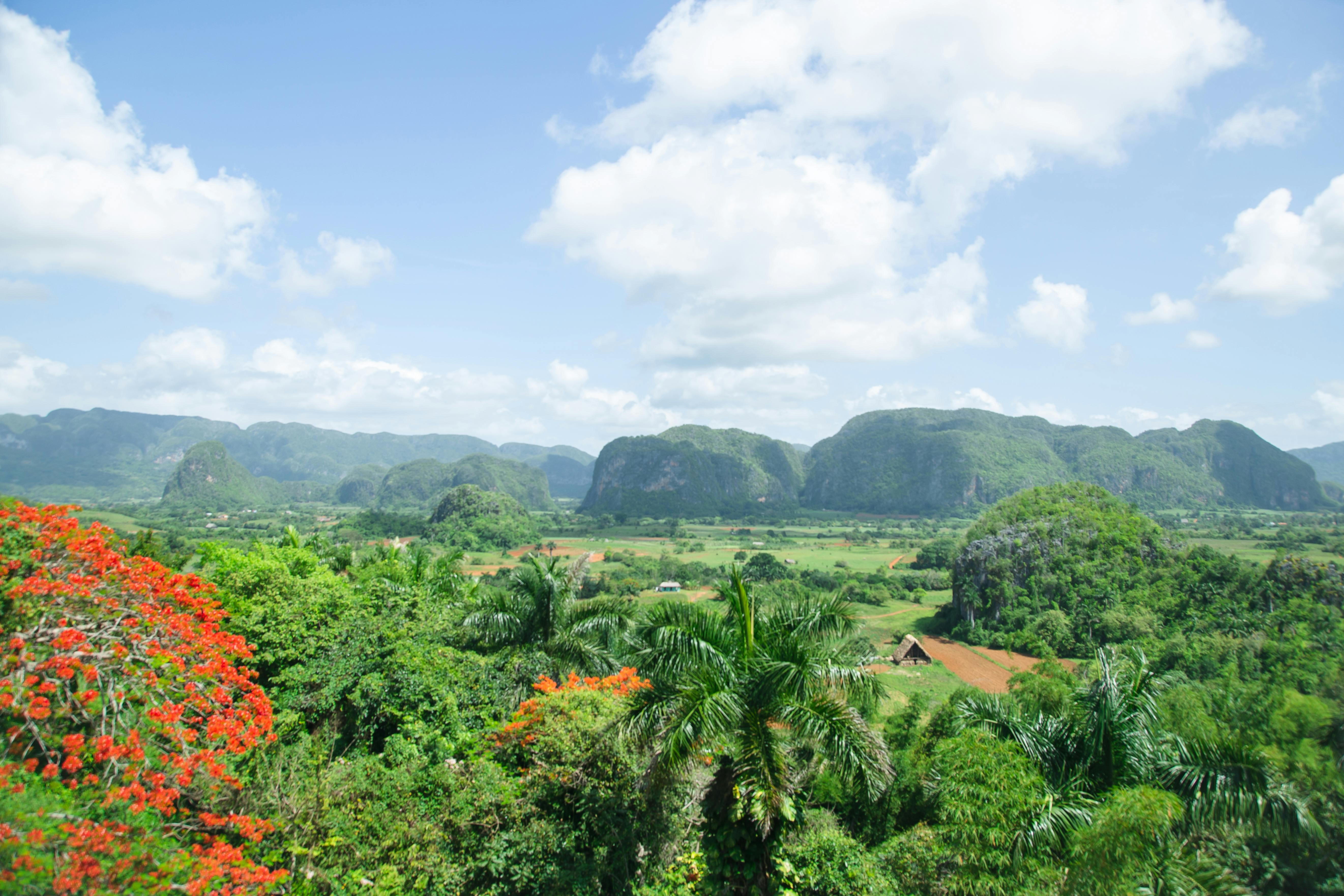 Le paysage tropical de la vallée de Viñales © Ryutaro Tsukata