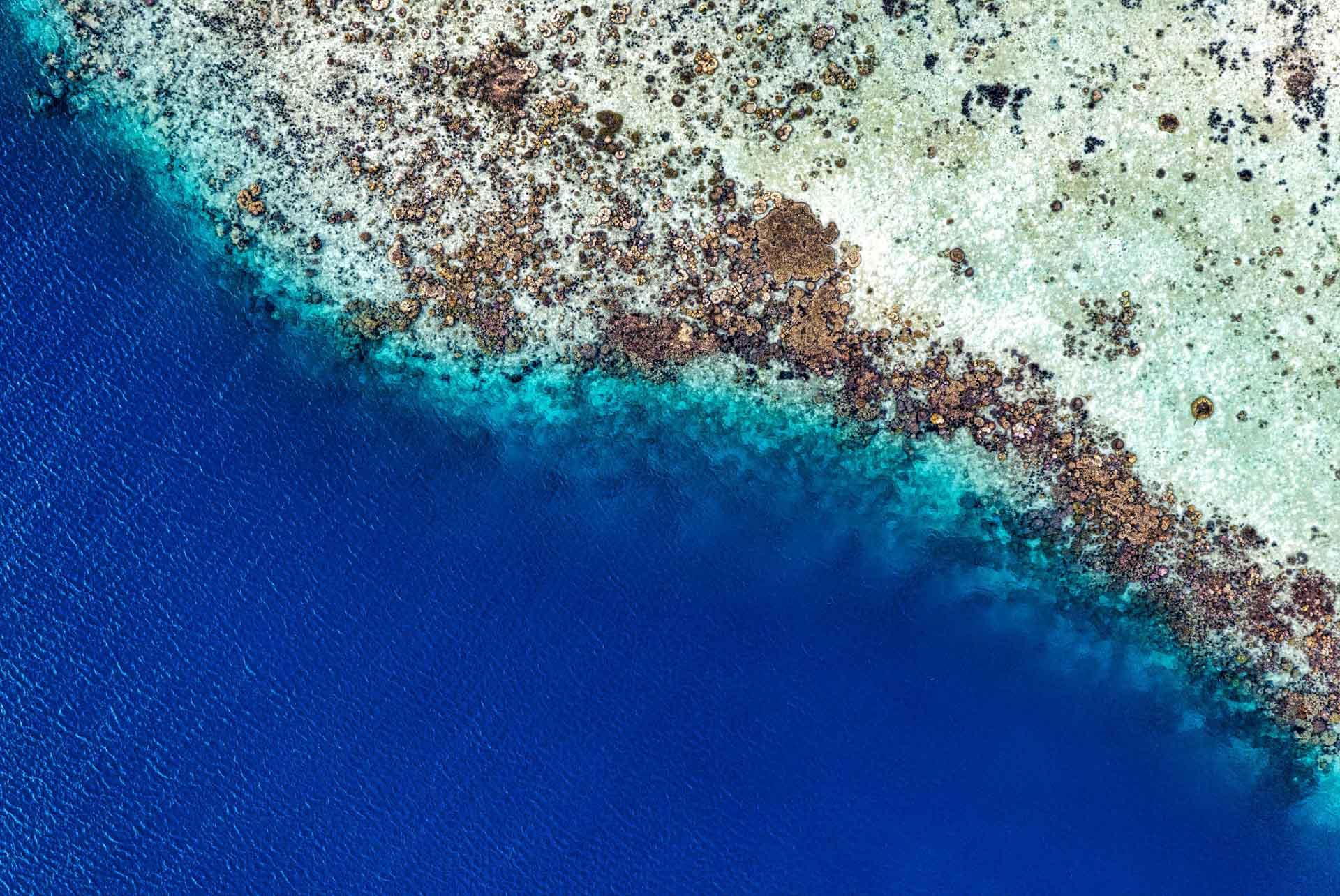 La Grande Barrière de Corail © Tomfisk