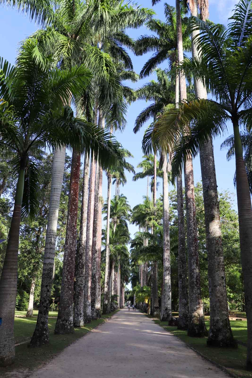 Rio de Janeiro © Pierre Gautrand 