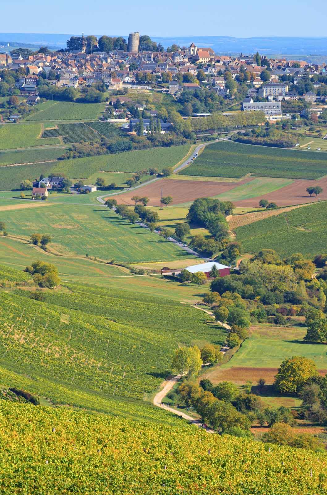 La route des vins près de Sancerre