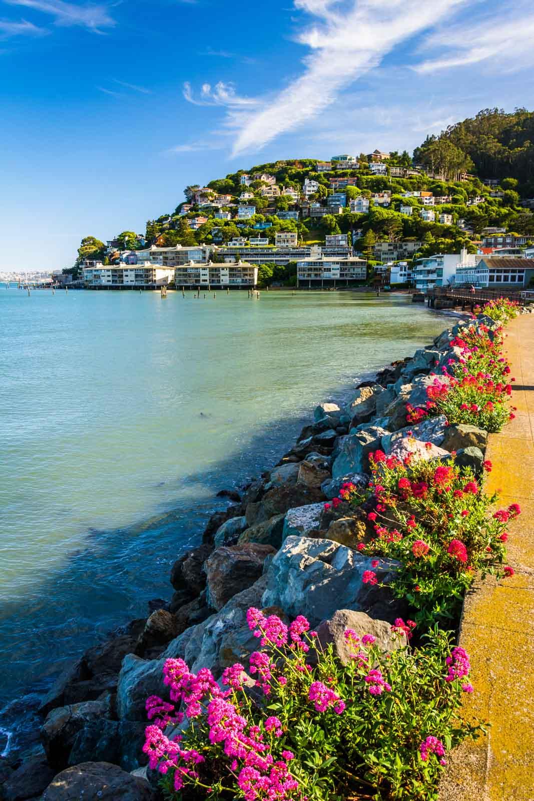 Visiter San Francisco et Sausalito © Adobestock