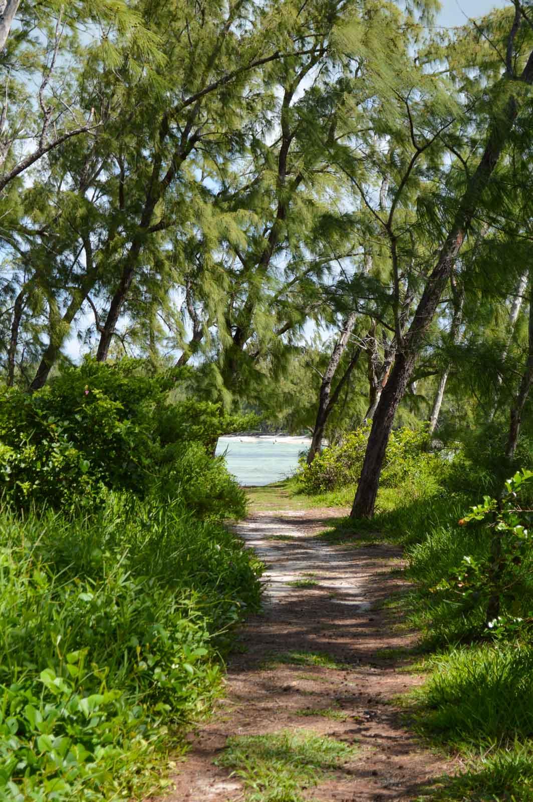 Sur l’îlot Mangenie © PG