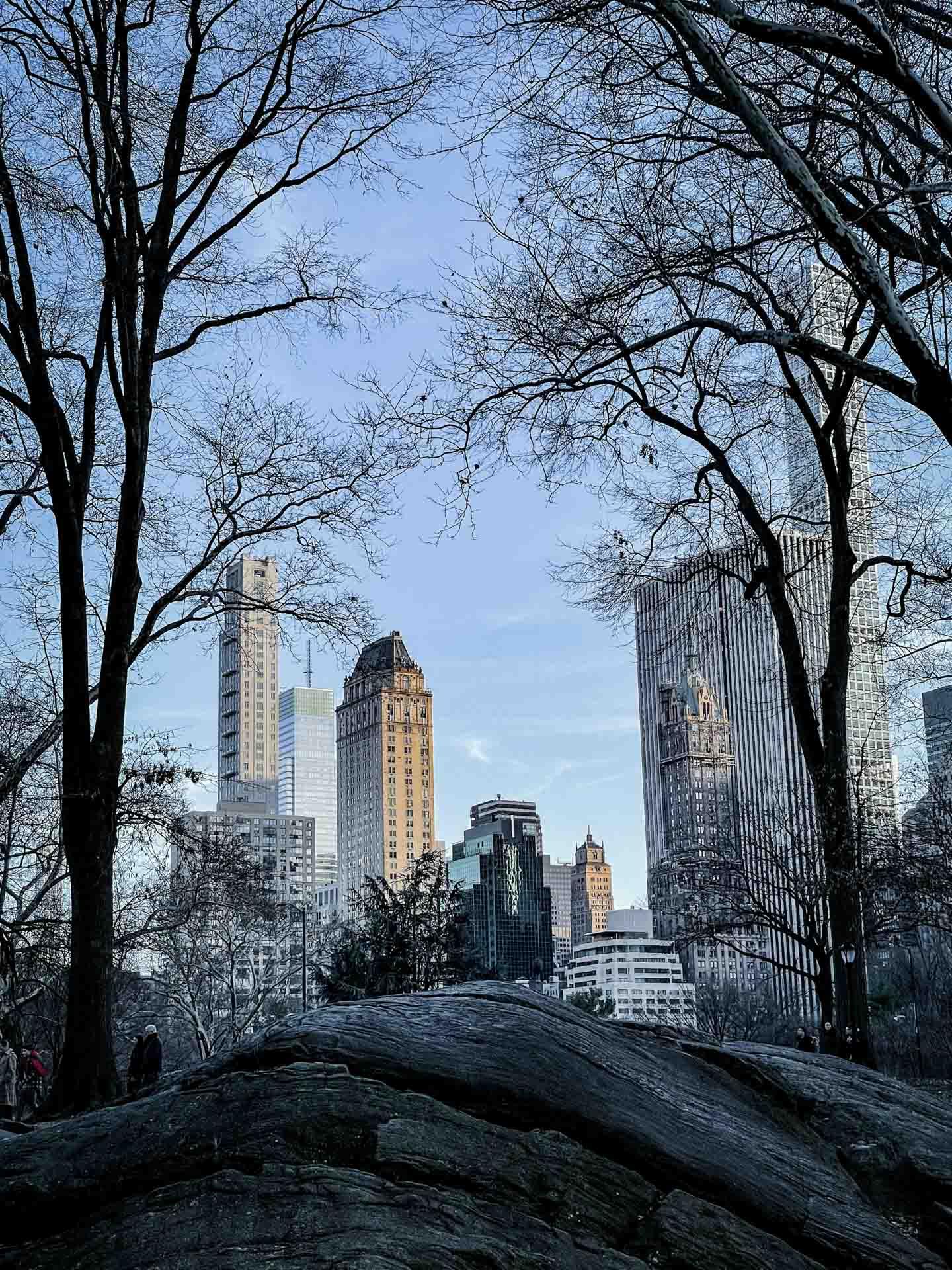 Central Park en hiver ©Simon Clotour
