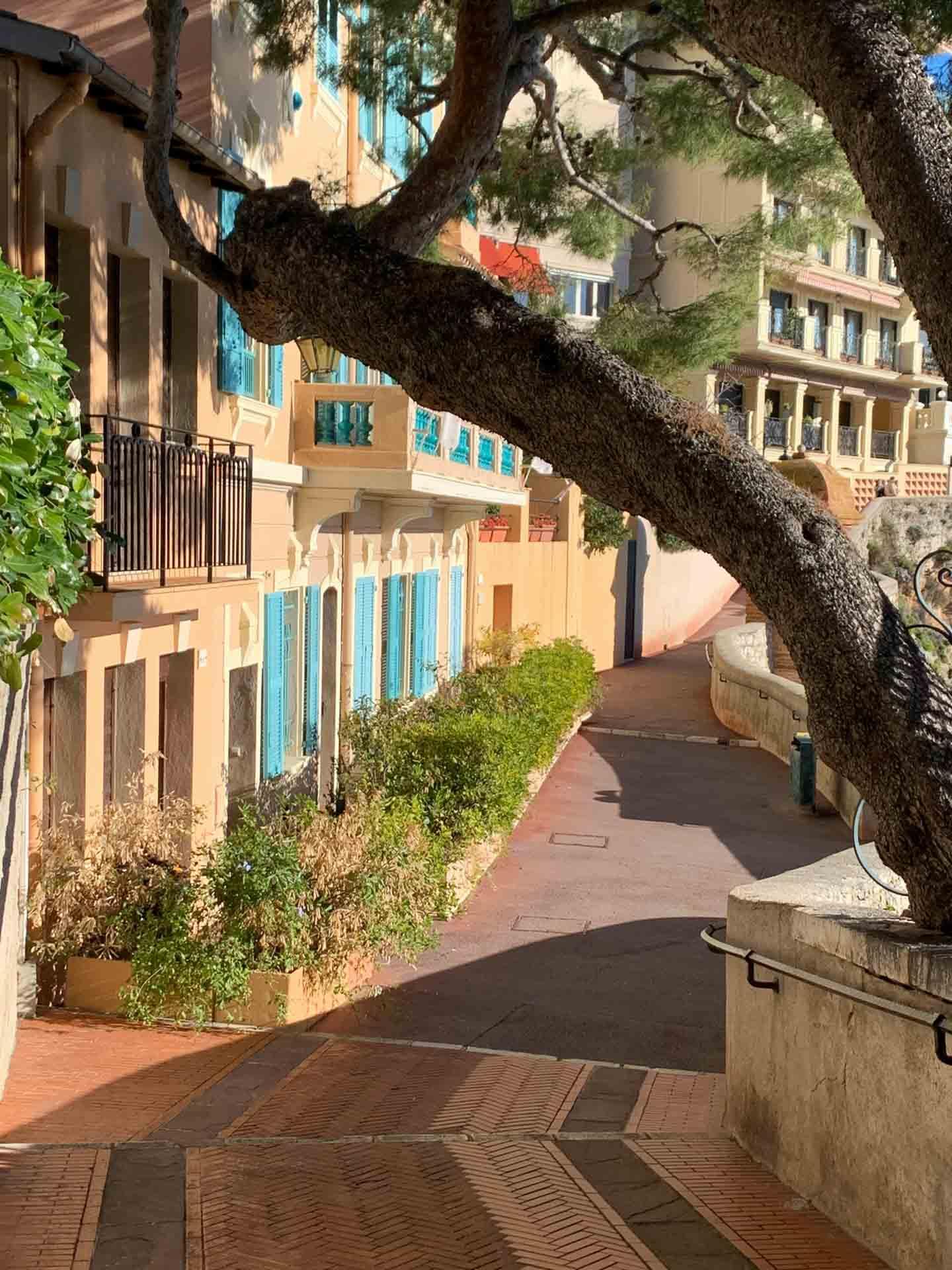 Visiter Monaco en hiver ©Soma Toth