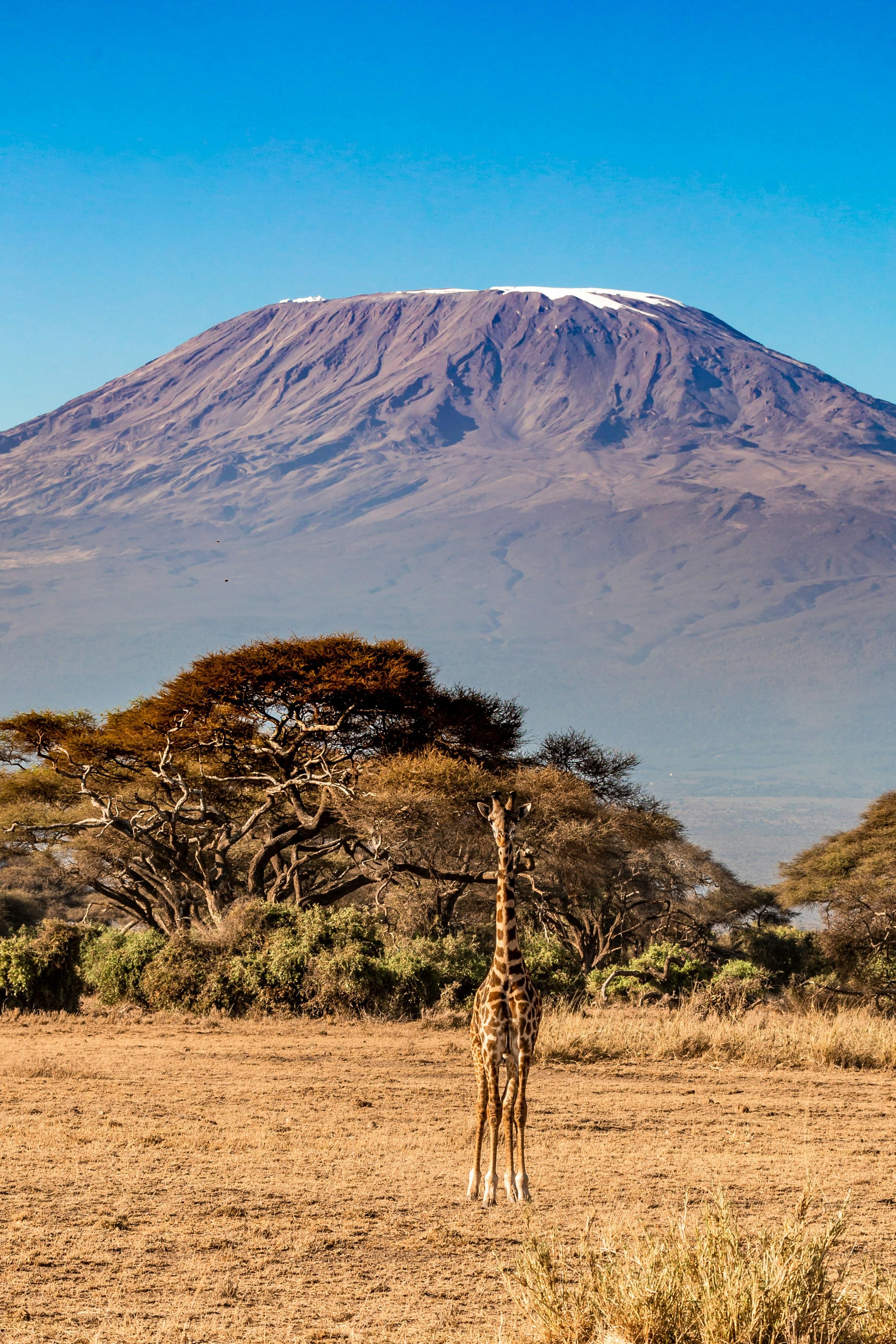 Kilimandjaro ©  Stephan Bechert