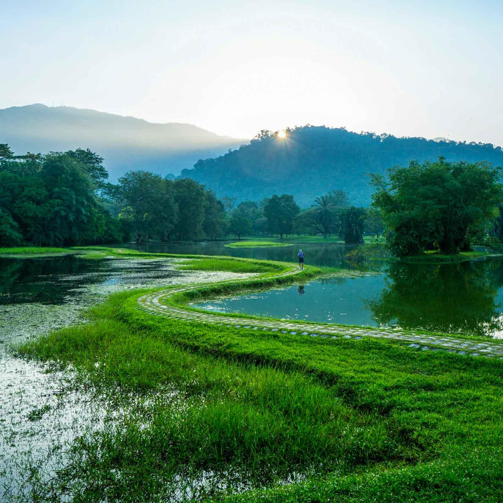 Les Taiping Lake Gardens © AdobeStock Zanariah Salam EyeEm