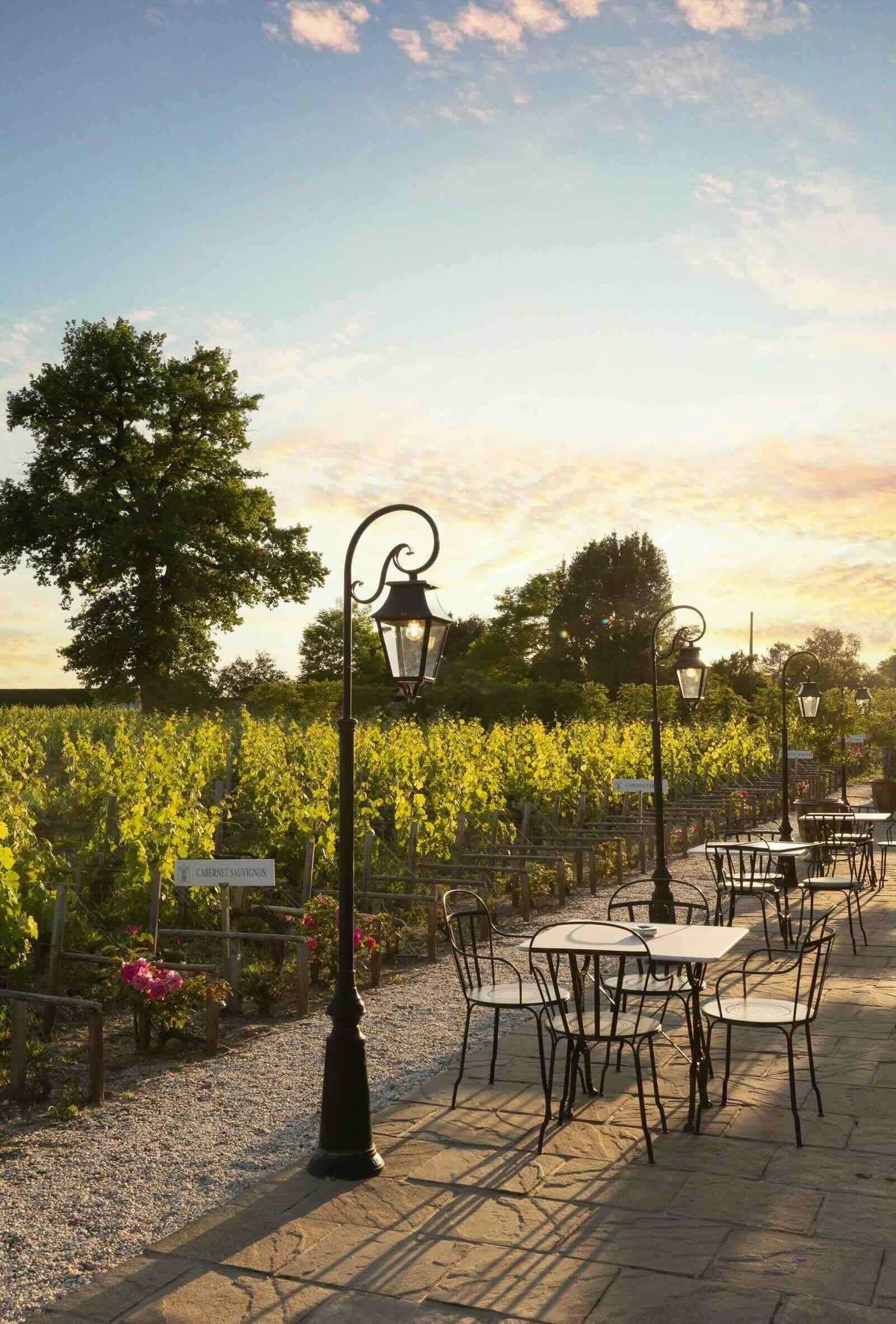 La terrasse devant les vignes © COMO Cordeillan-Bages