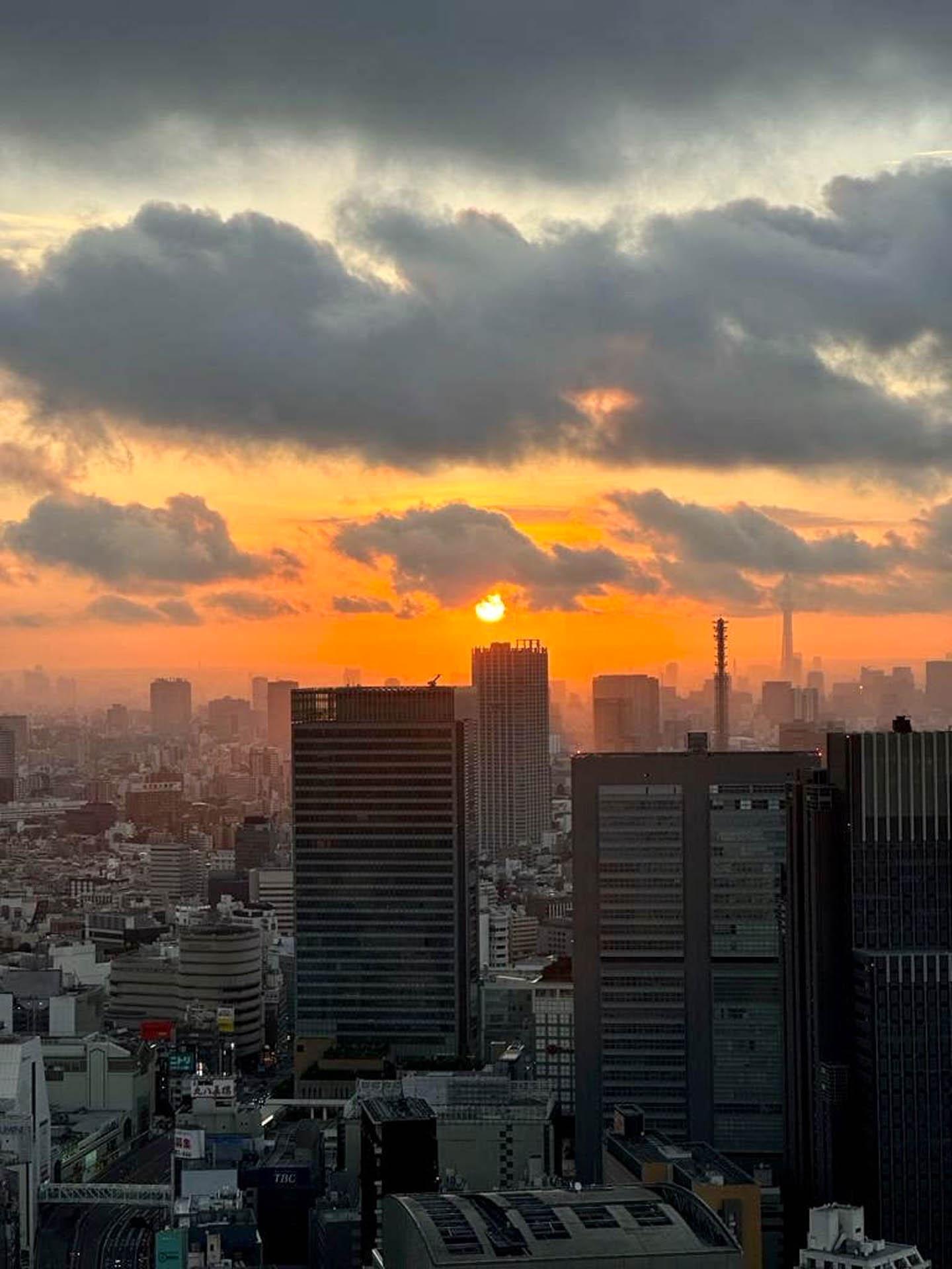 Park Hyatt Tokyo © Emmanuel Laveran