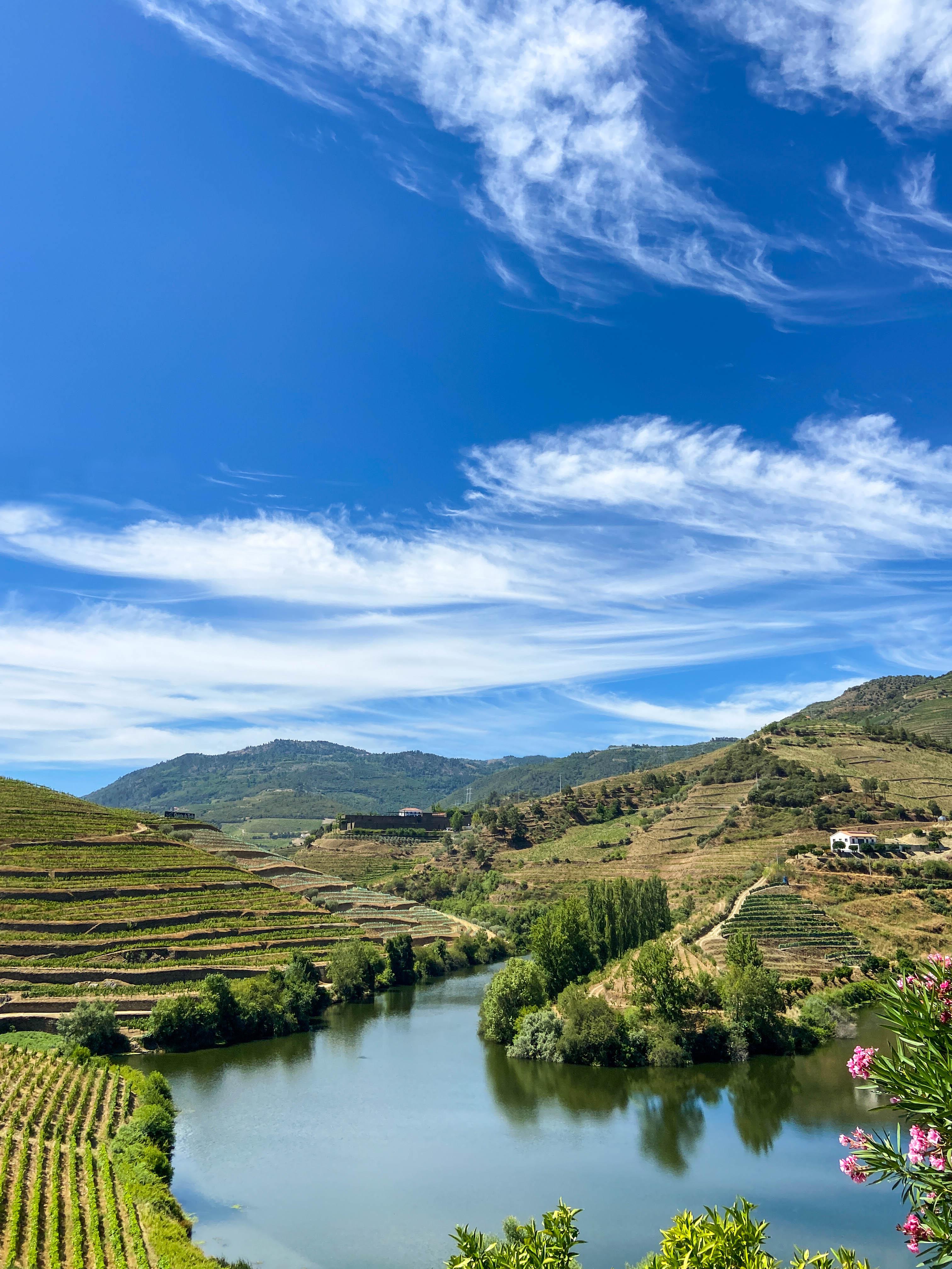Vignobles le long du Douro © Alexandre Sattler