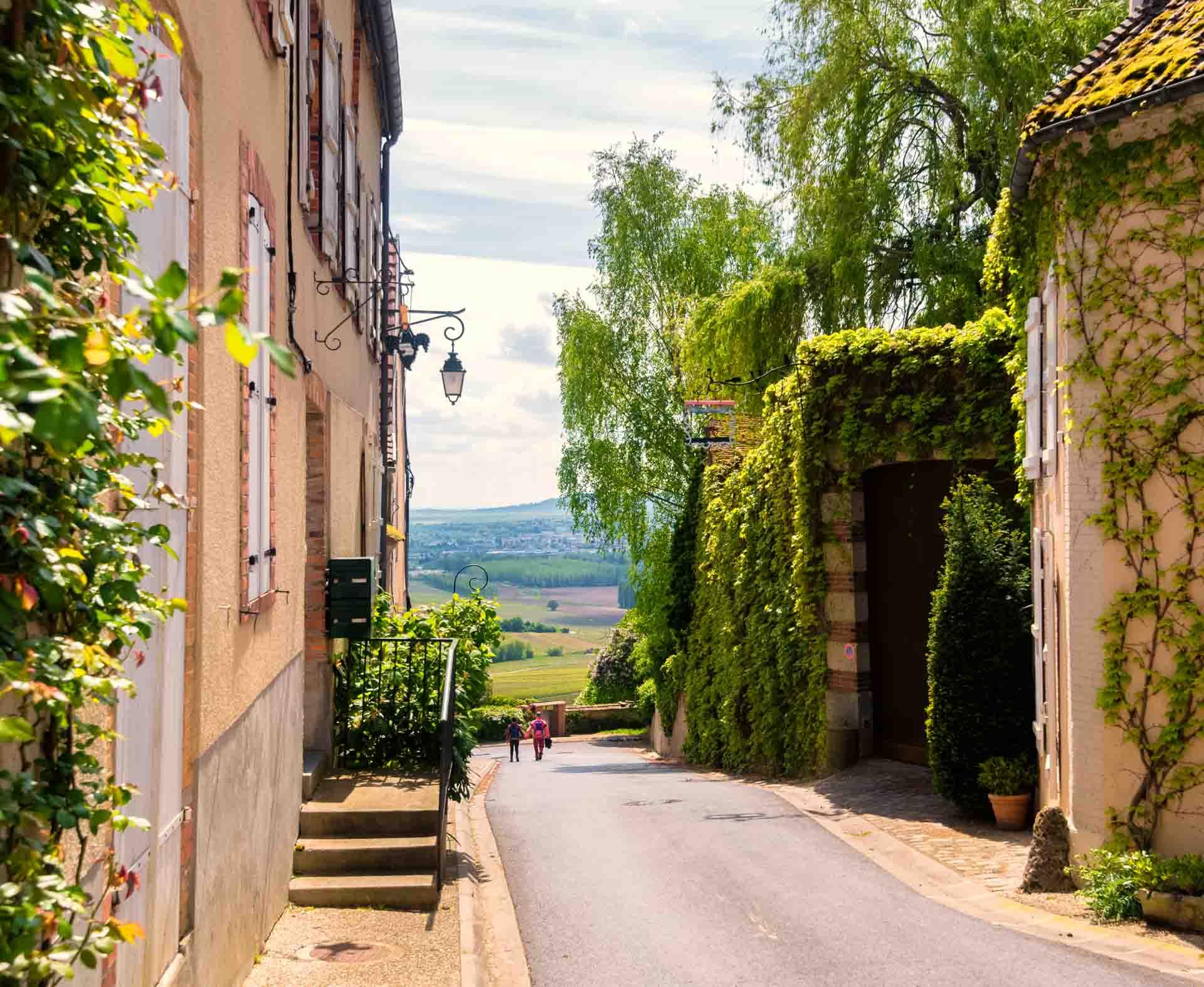 Le village de Hautvillers © adobestock - Luc Cohen