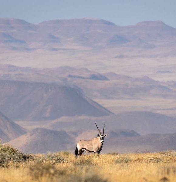 © Damaraland - Wilderness Safaris