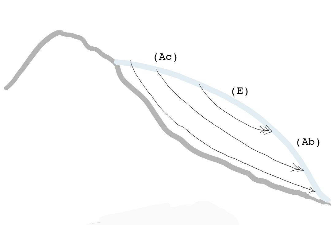 Lignes de flot d’un glacier de vallée typique. Les flèches indiquent la vitesse de déplacement. Les abbréviations indiquent les zones d’accumulation (Ac), d’équilibre (E) et d’ablation (Ab). La vitesse est la plus élevée dans la zone d’équilibre, où les trajectoires sont aussi les plus courtes.