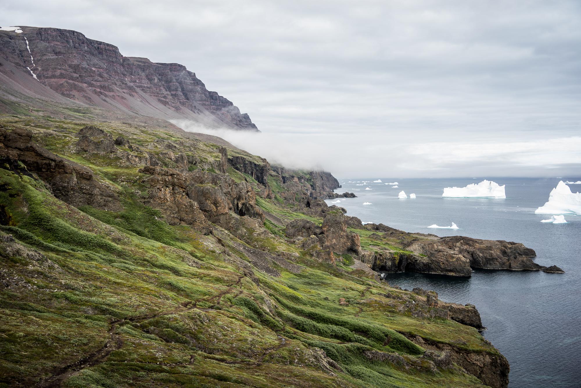 Le micro-climat de l’île de Disko rend le paysage beaucoup plus vert que le reste de la région. Elle se distingue également par son origine volcanique. © DB / Yonder