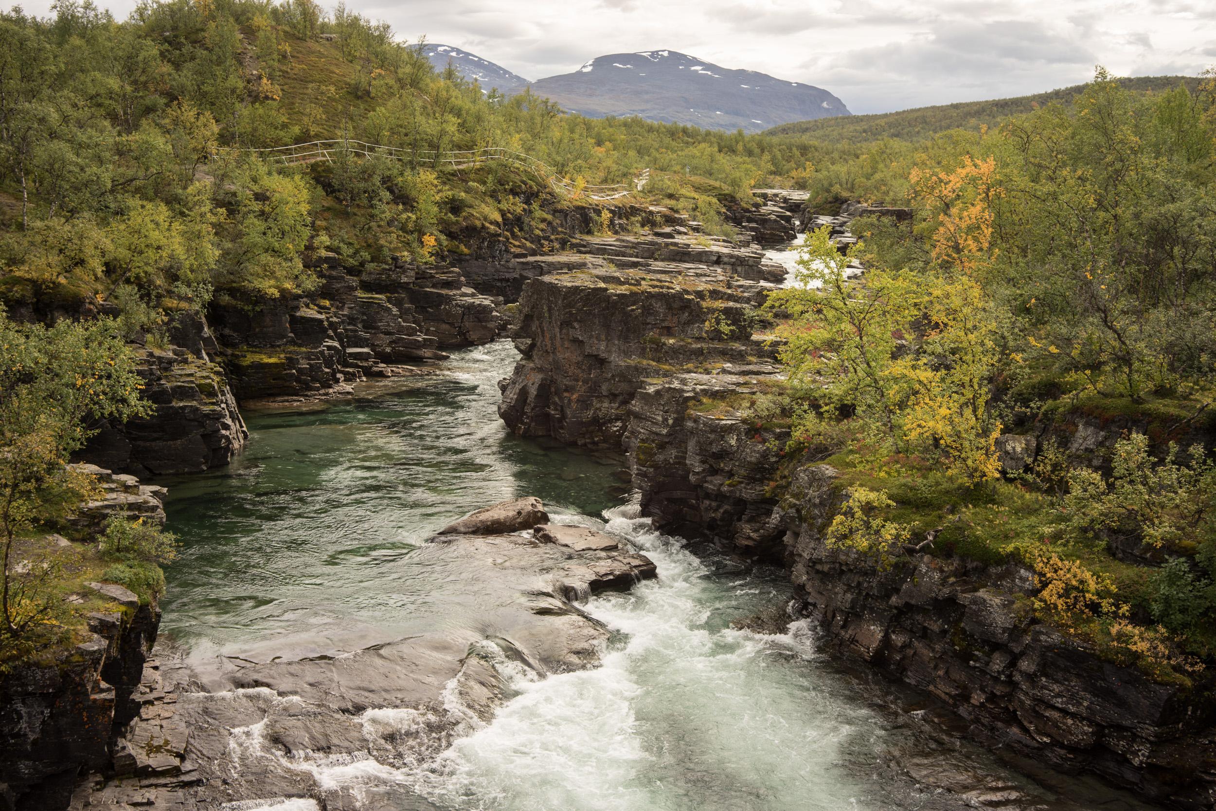 Le fameux canyon creusé par la rivière Abiskojokk. Une balade classique et facile depuis l’Abisko Tourist Station.